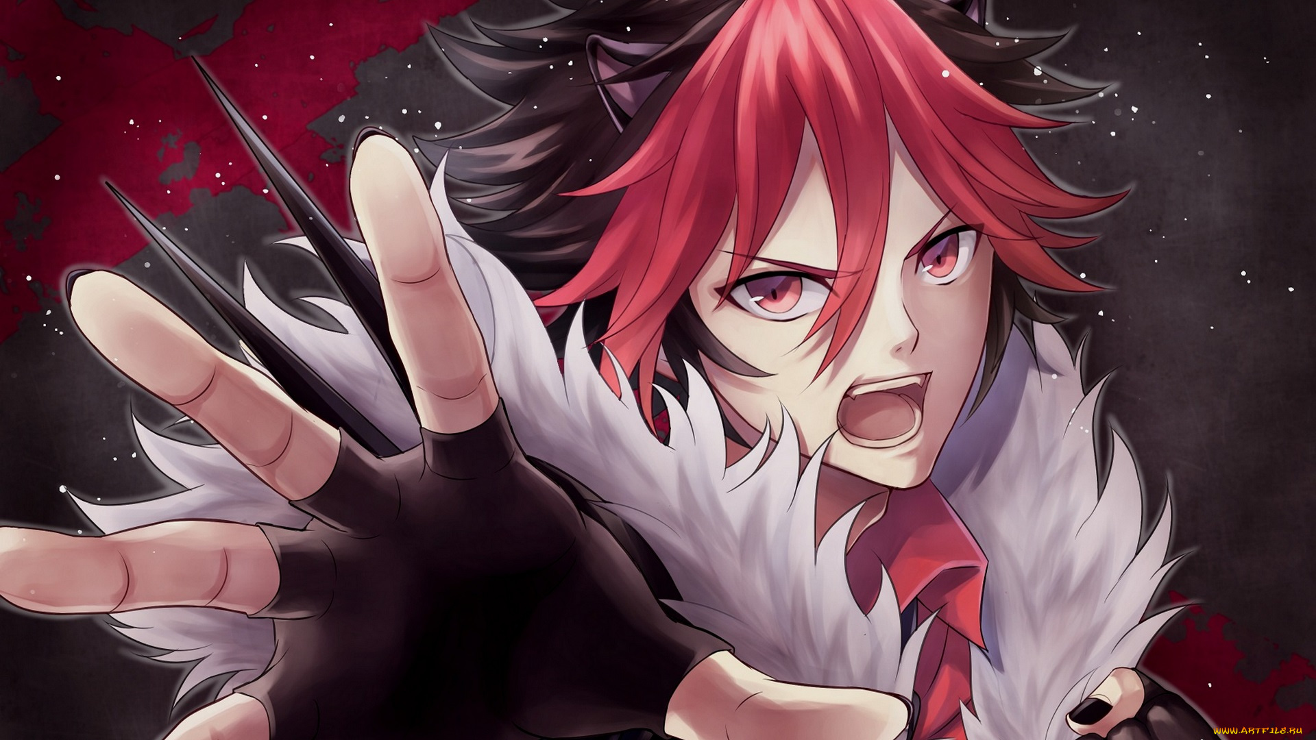 аниме, животные, , существа, crow