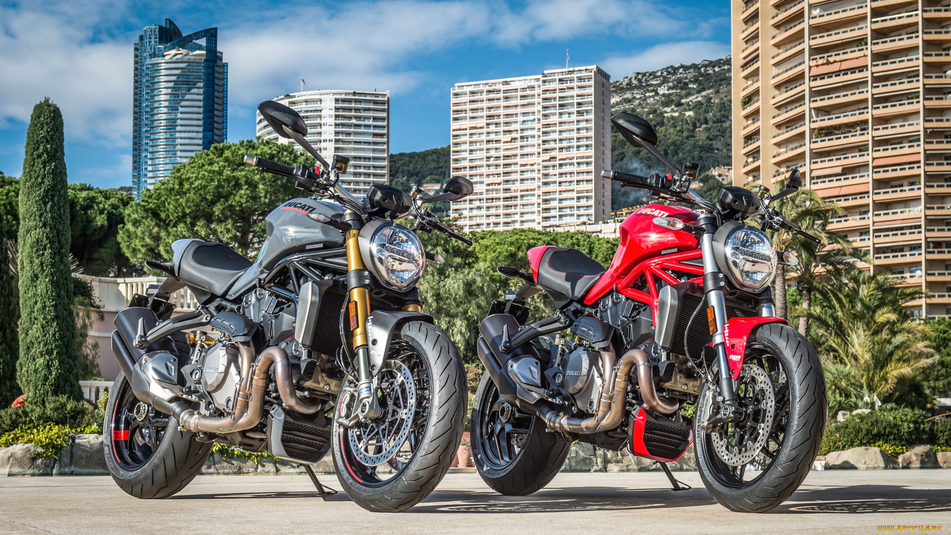 мотоциклы, ducati