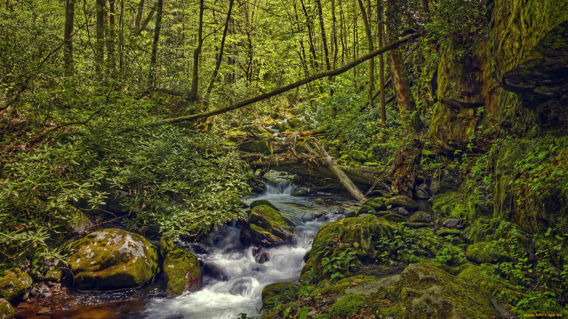 природа, реки, озера, great, smoky, mountains, national, park, штат, теннесси, лес