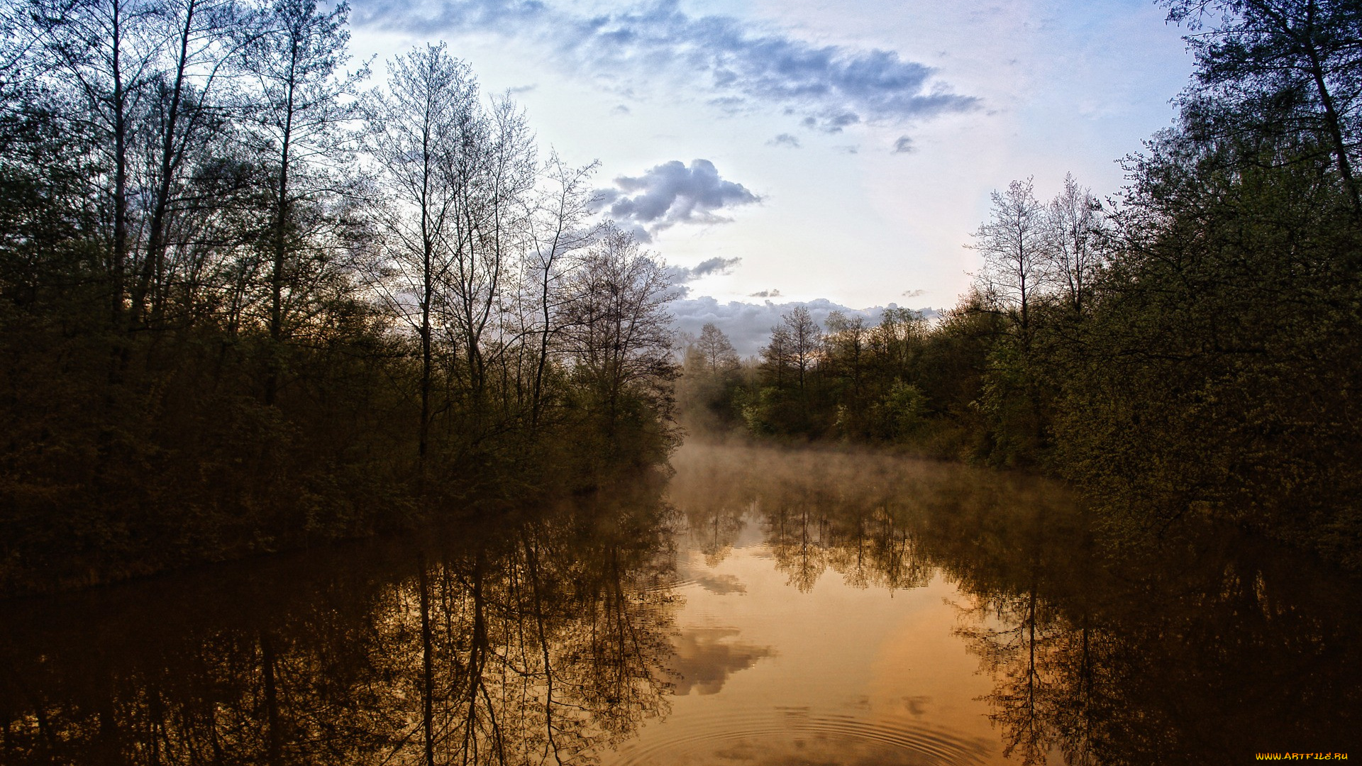 природа, реки, озера, небо, облака, деревья, река, туман, утро