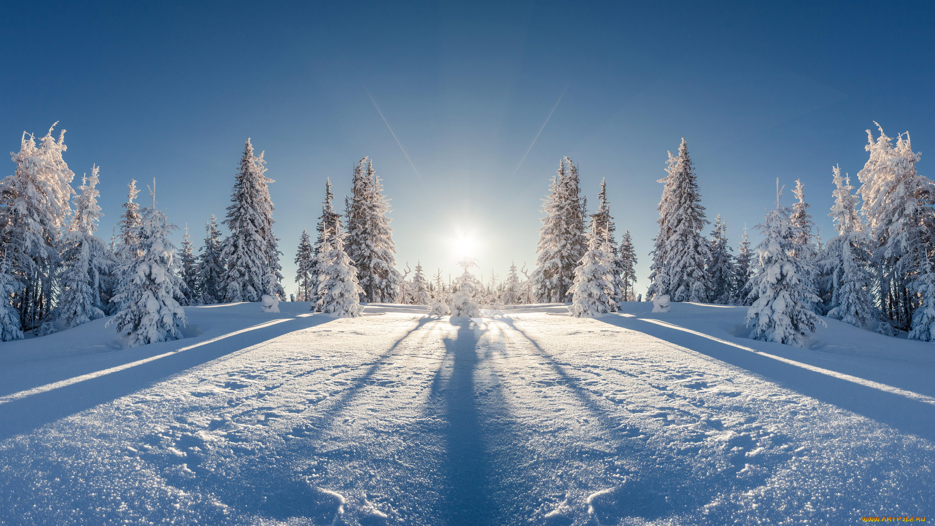 природа, зима, елки, пейзаж, снег