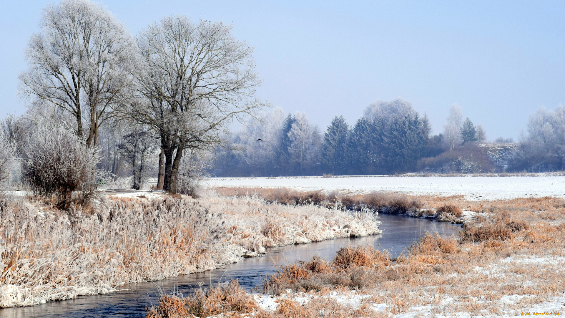 природа, зима, иней, деревья, река