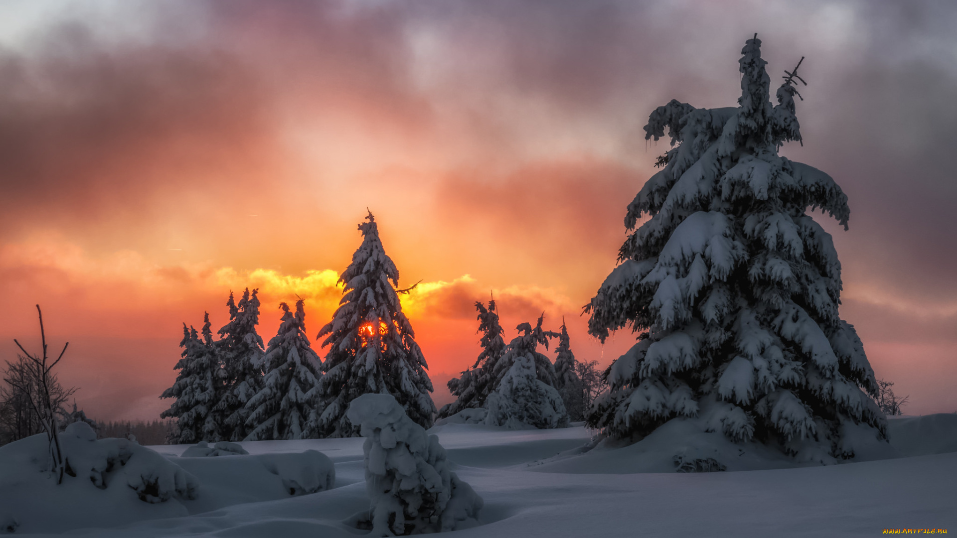 природа, зима, рассвет