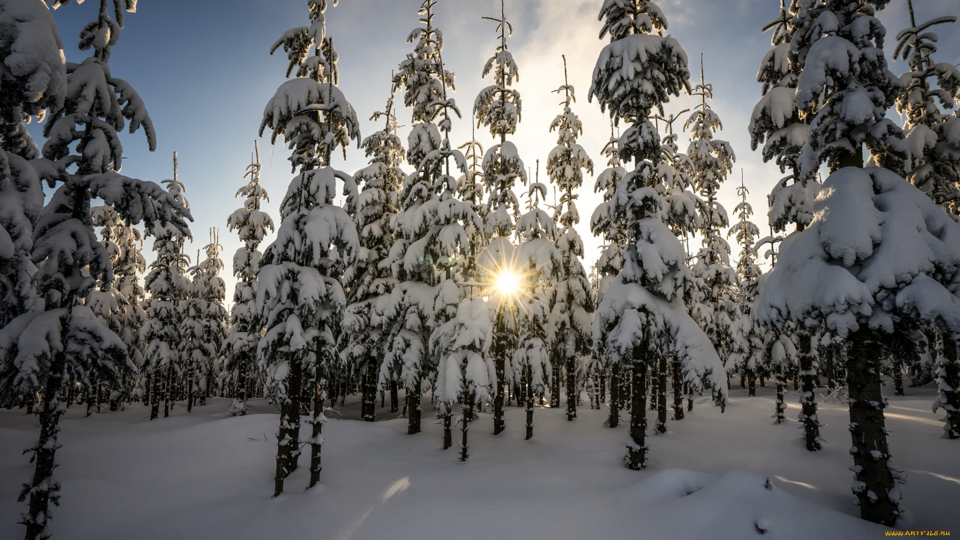 природа, зима, рассвет