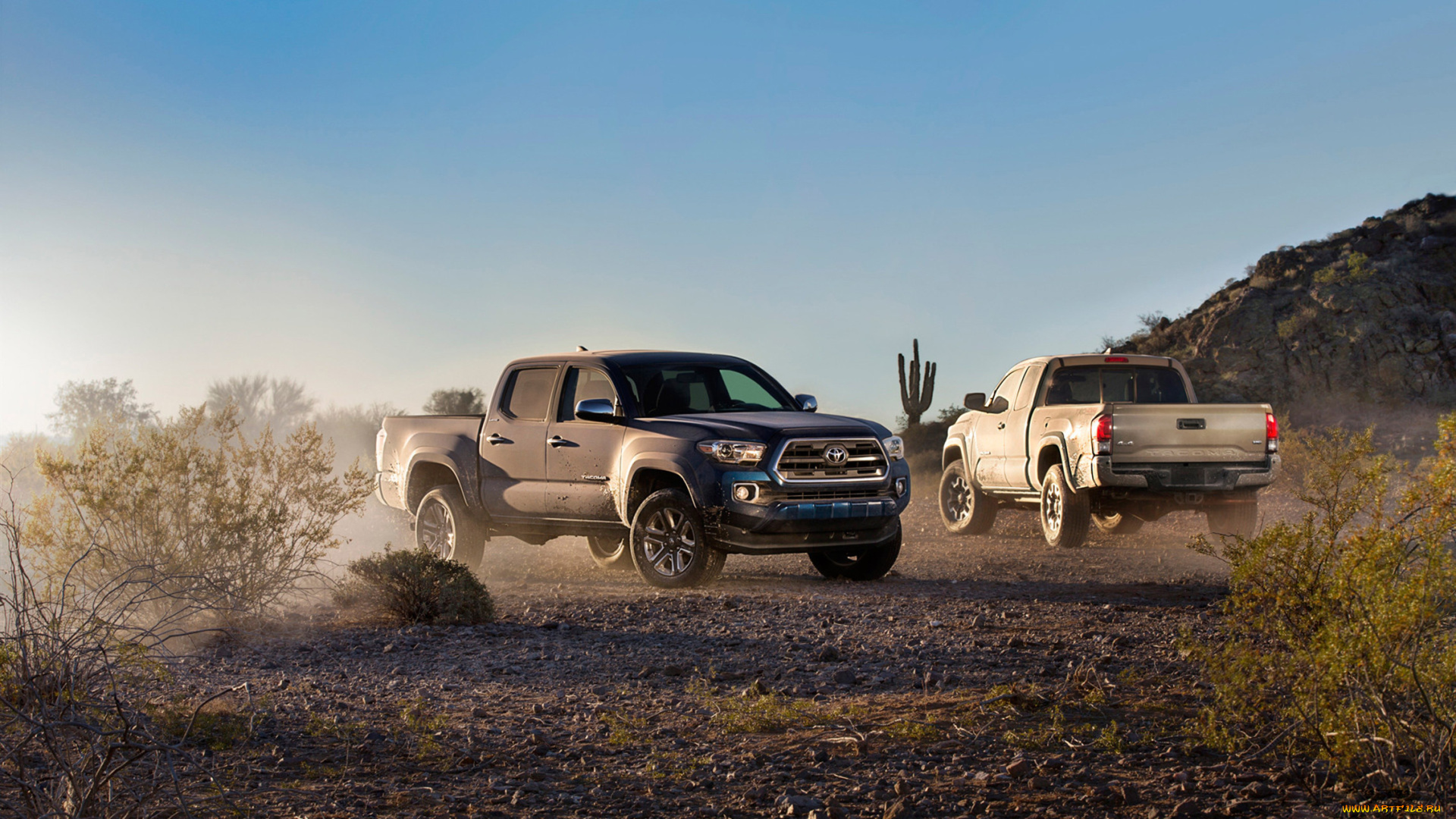 toyota, tacoma, 2016, автомобили, toyota, tacoma, 2016, джип, внедорожник