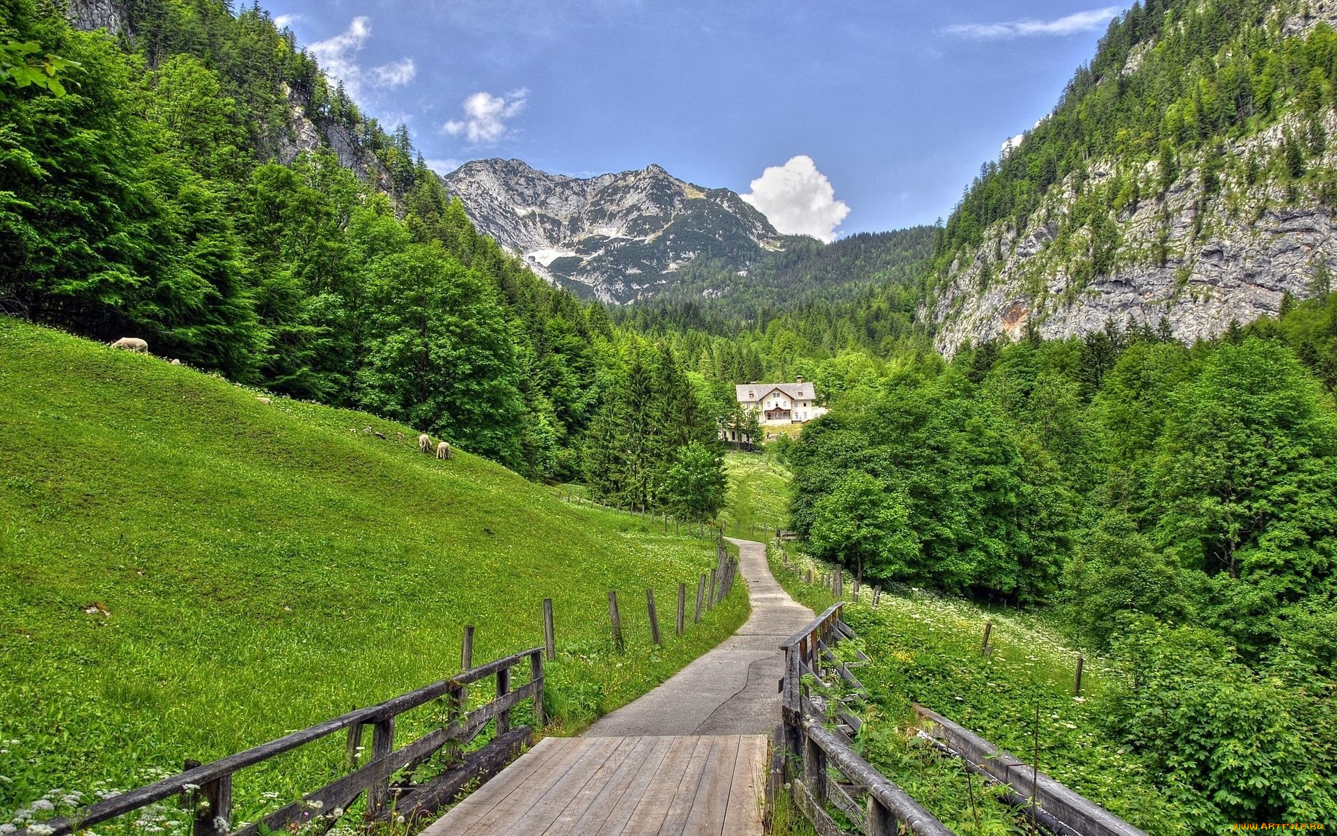 природа, дороги, горы, дорога