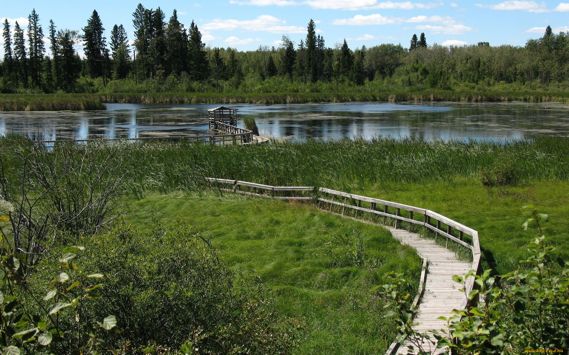 природа, пейзажи, озеро