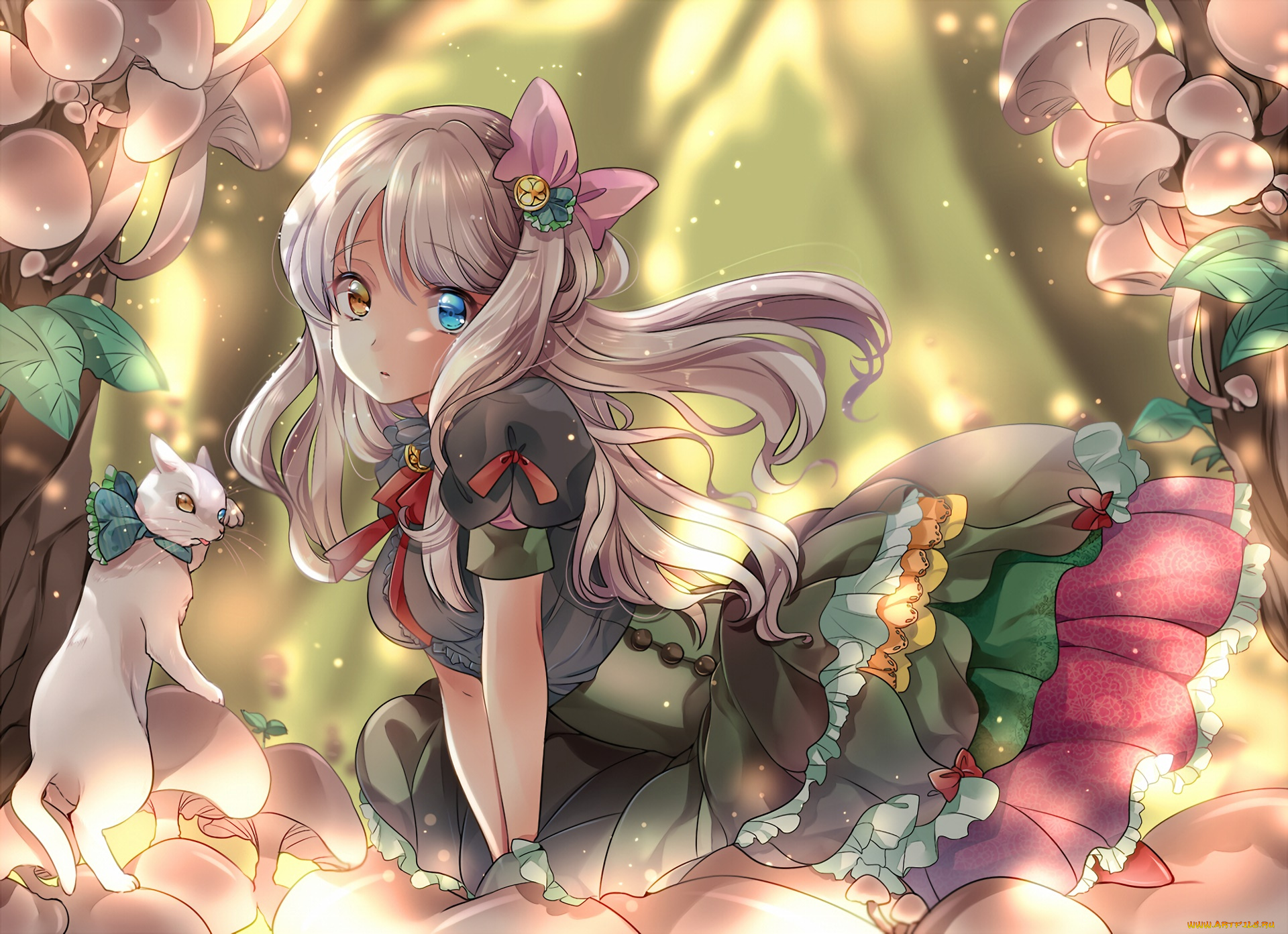 аниме, животные, , существа, девушка, фон, взгляд