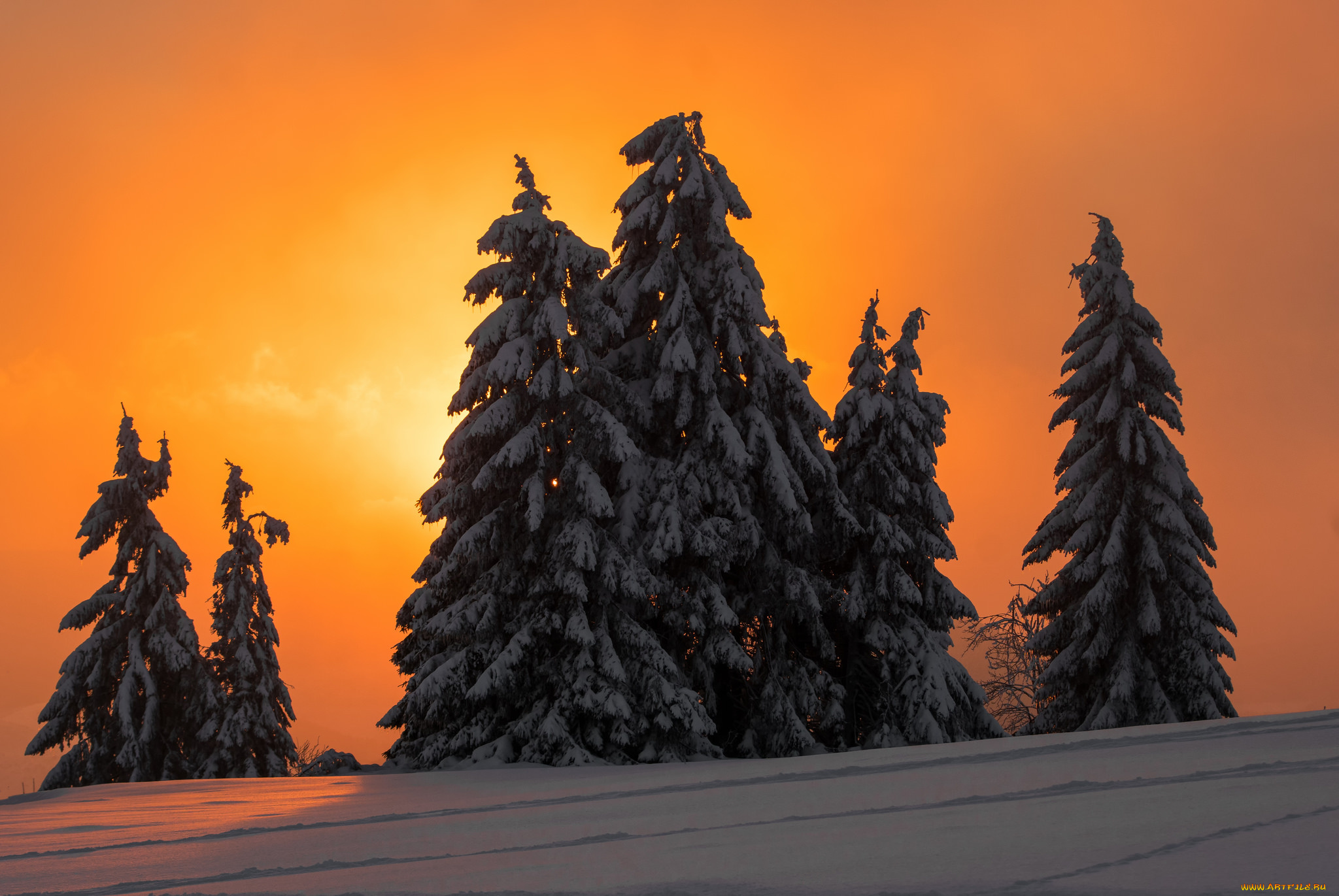 природа, зима, рассвет