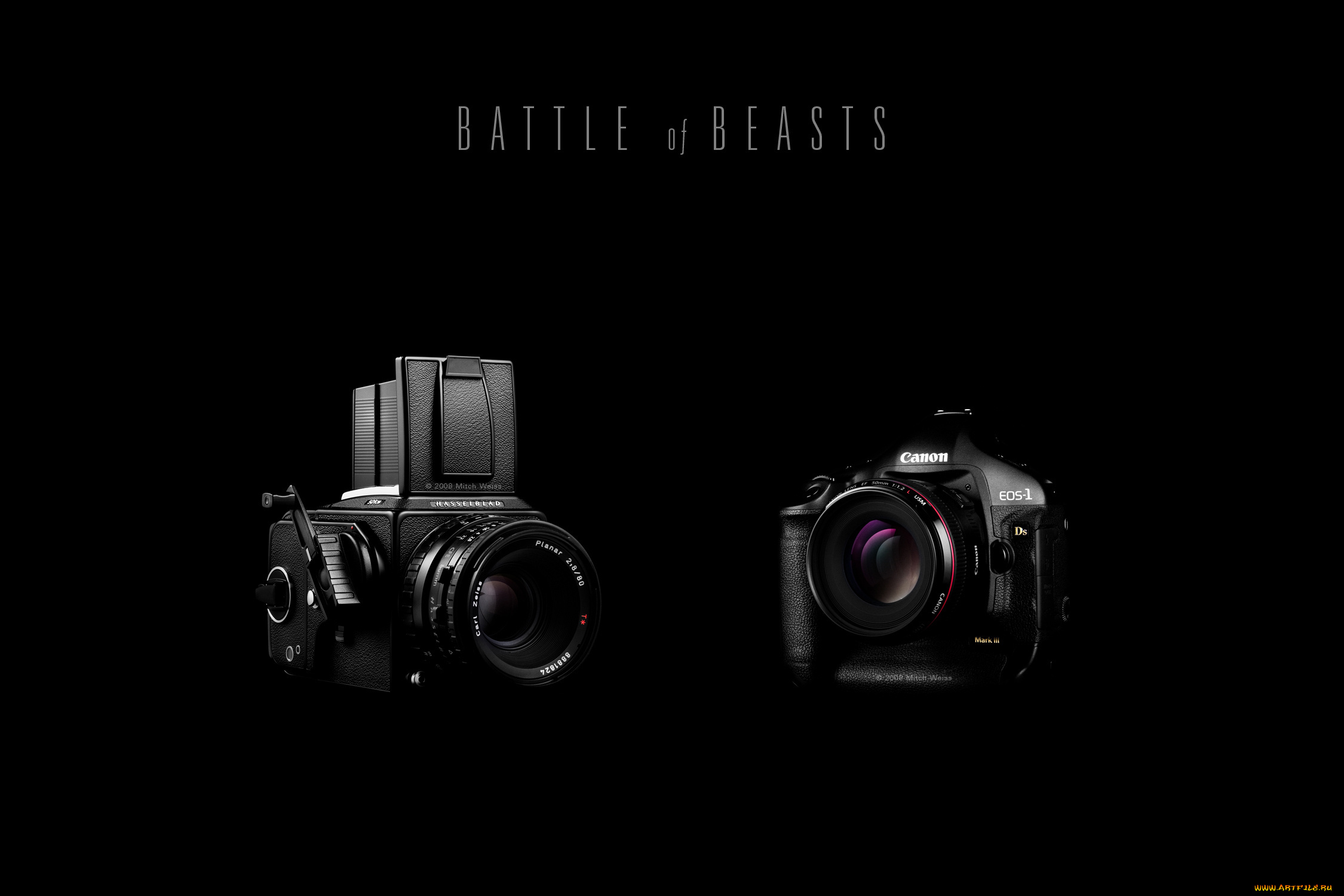 бренды, canon, фотокамеры