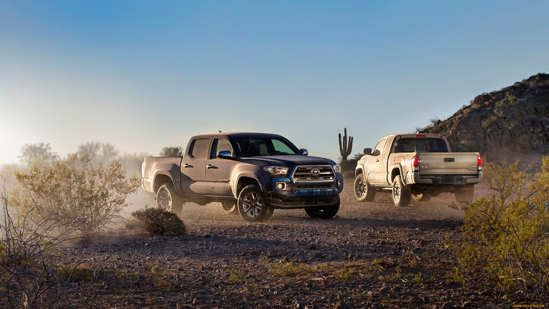 toyota, tacoma, 2016, автомобили, toyota, tacoma, 2016, джип, внедорожник