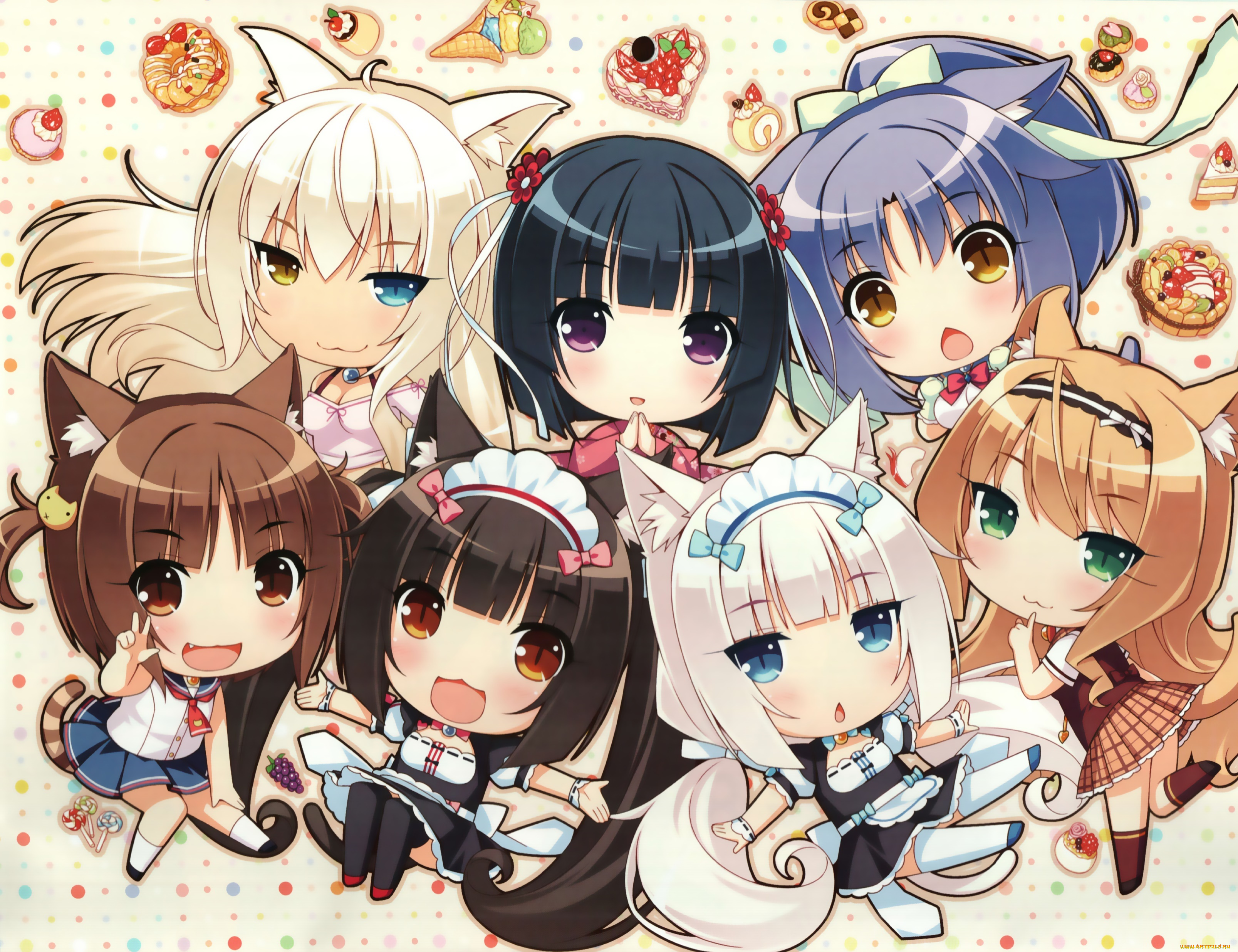 аниме, nekopara, фон, взгляд, девушки