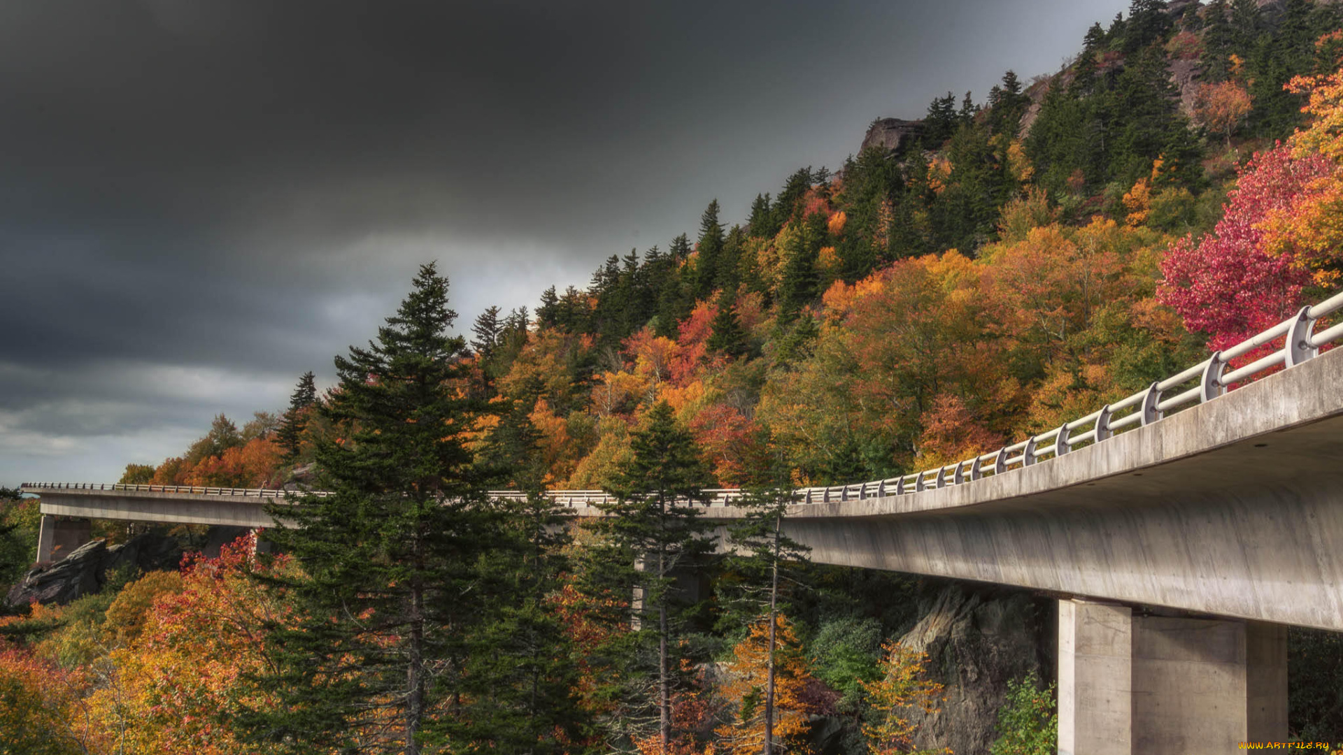 природа, дороги, простор