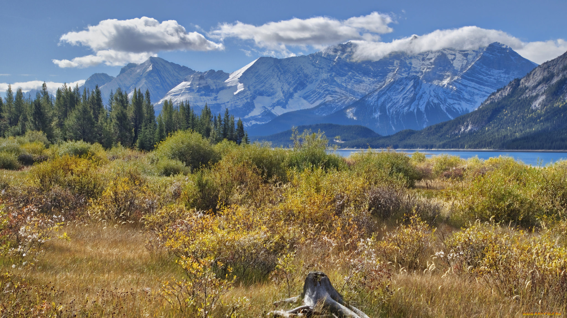 природа, горы, простор