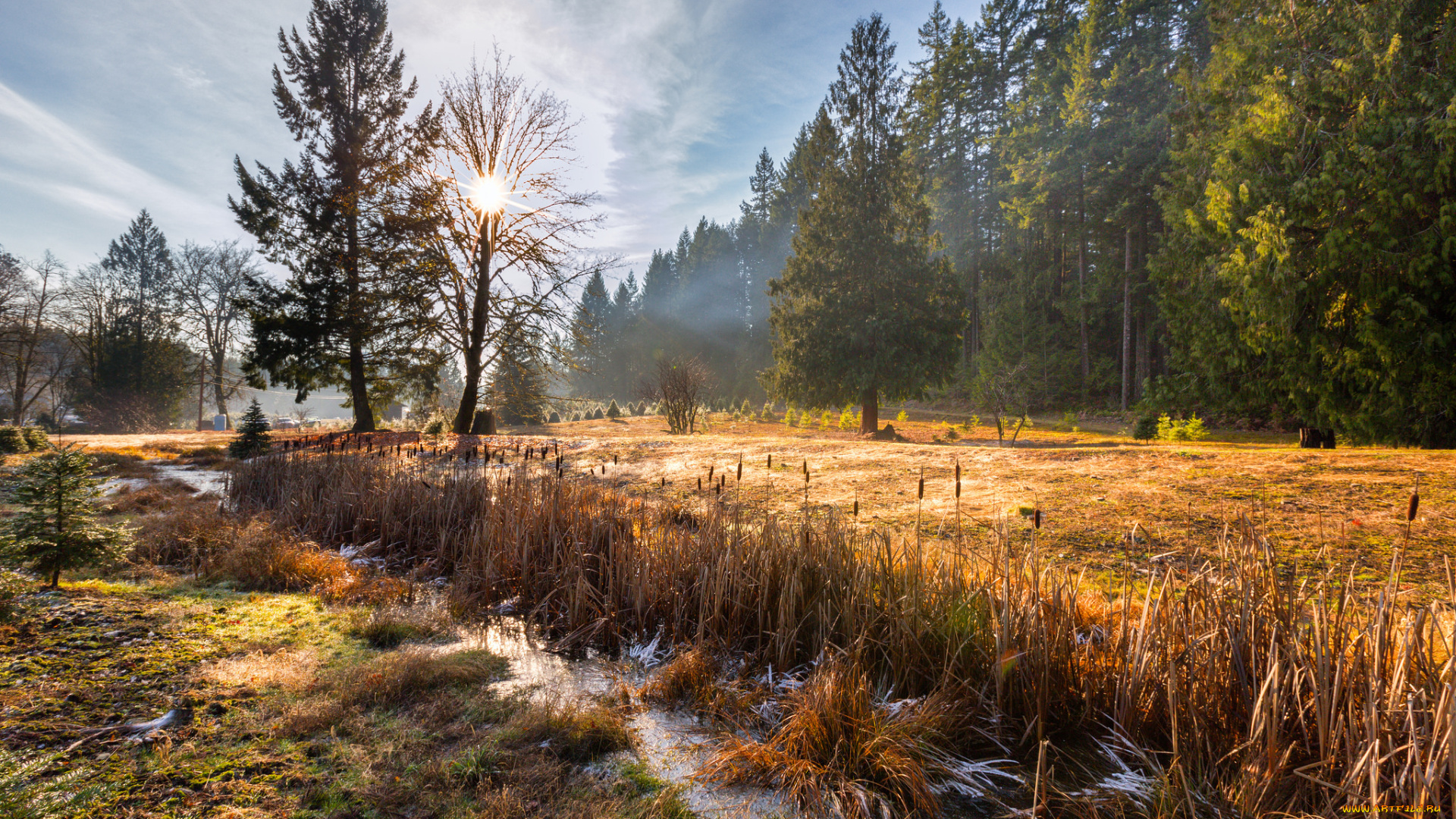 природа, пейзажи, простор
