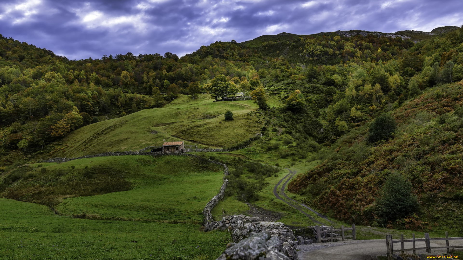 природа, пейзажи, простор