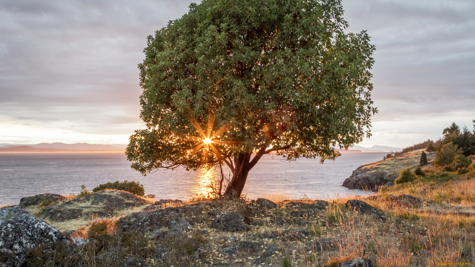 природа, побережье, простор