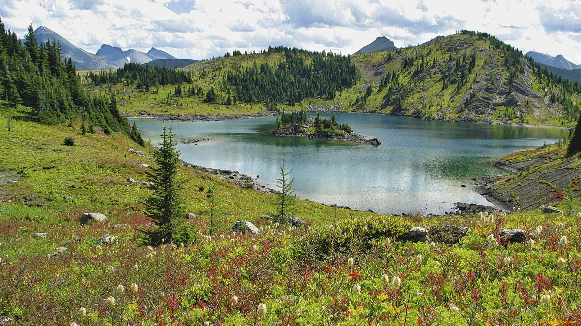 природа, реки, озера, простор