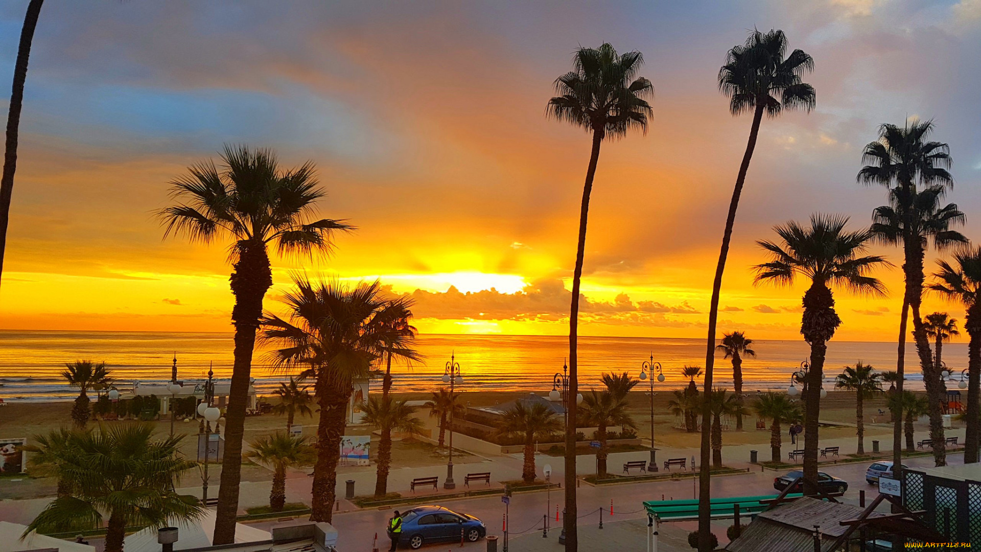 природа, тропики, простор