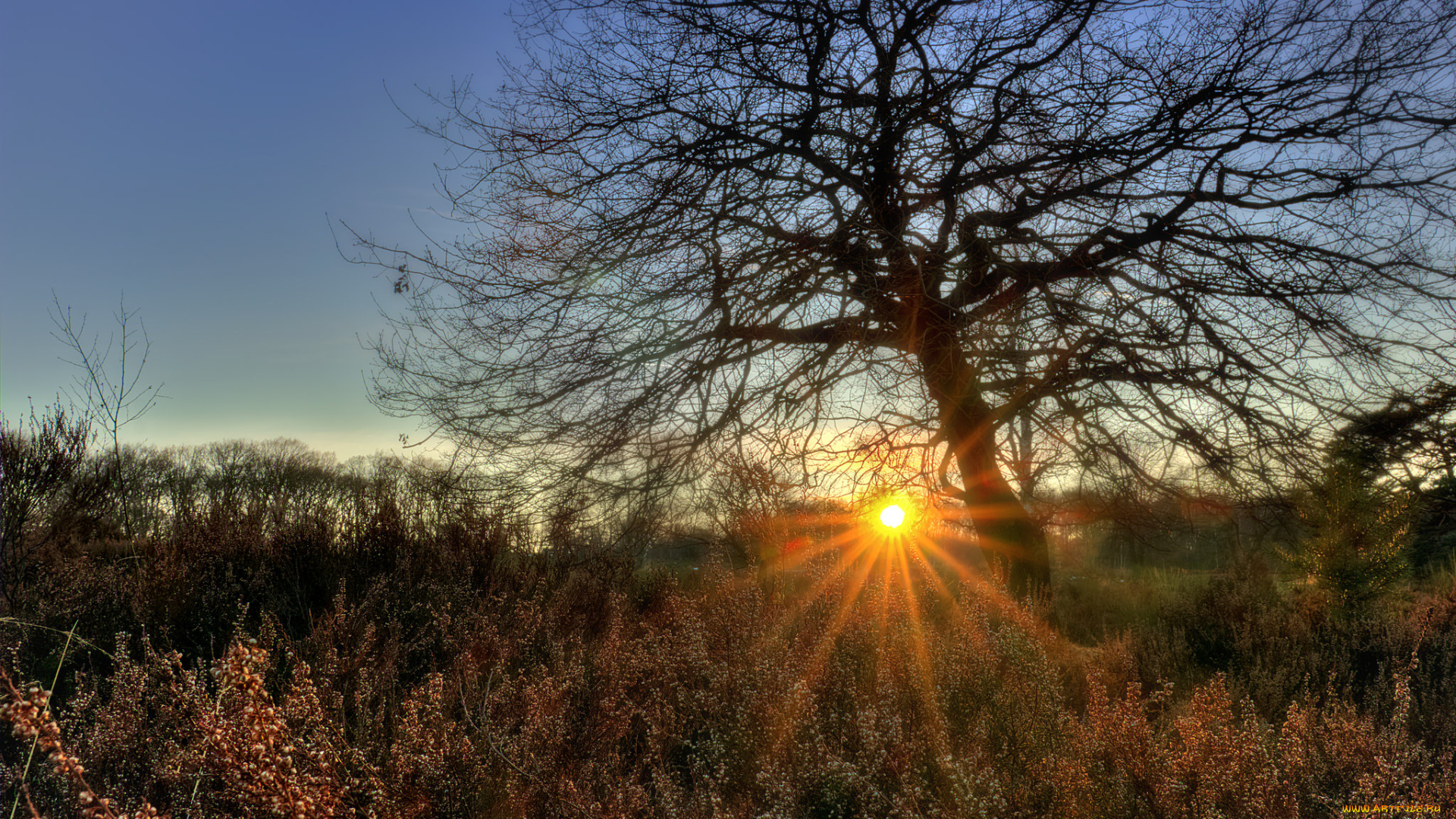 природа, восходы, закаты, простор