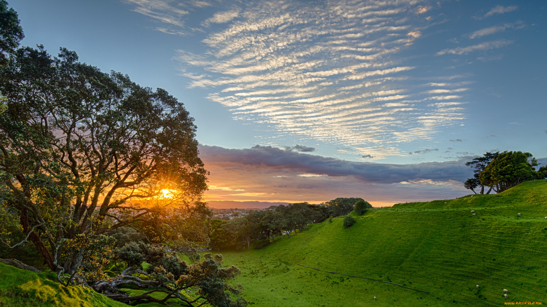 природа, восходы, закаты, простор