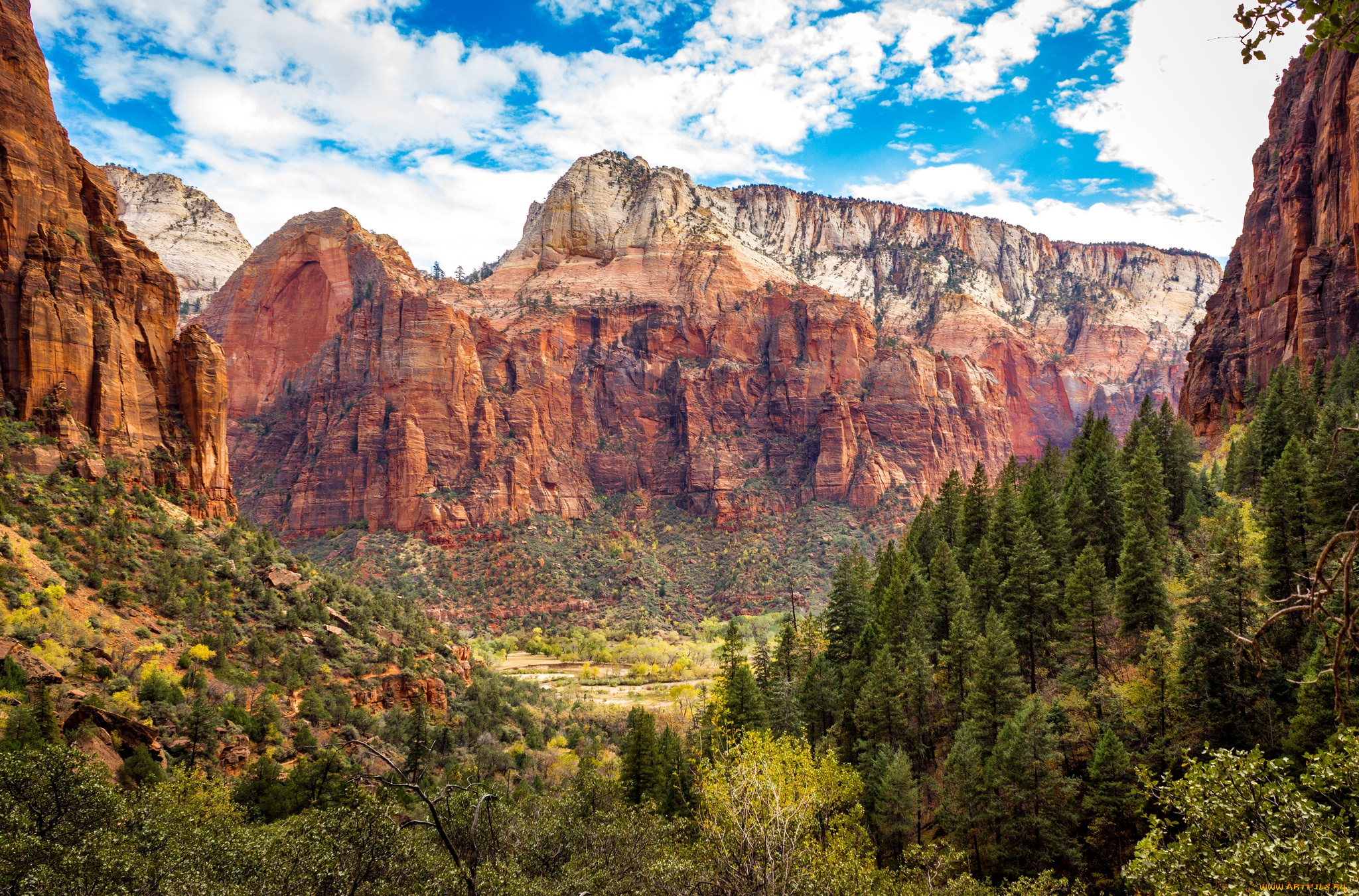 природа, горы, простор