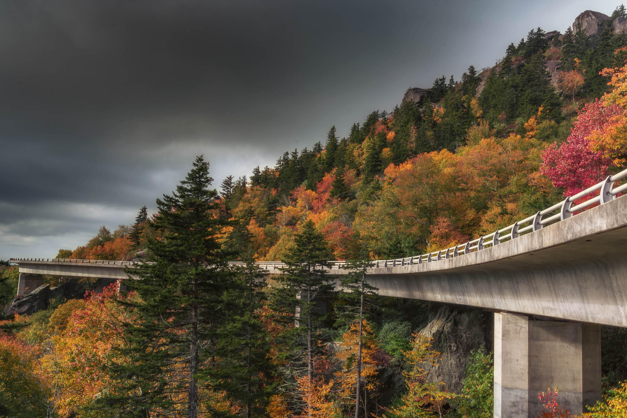 природа, дороги, простор