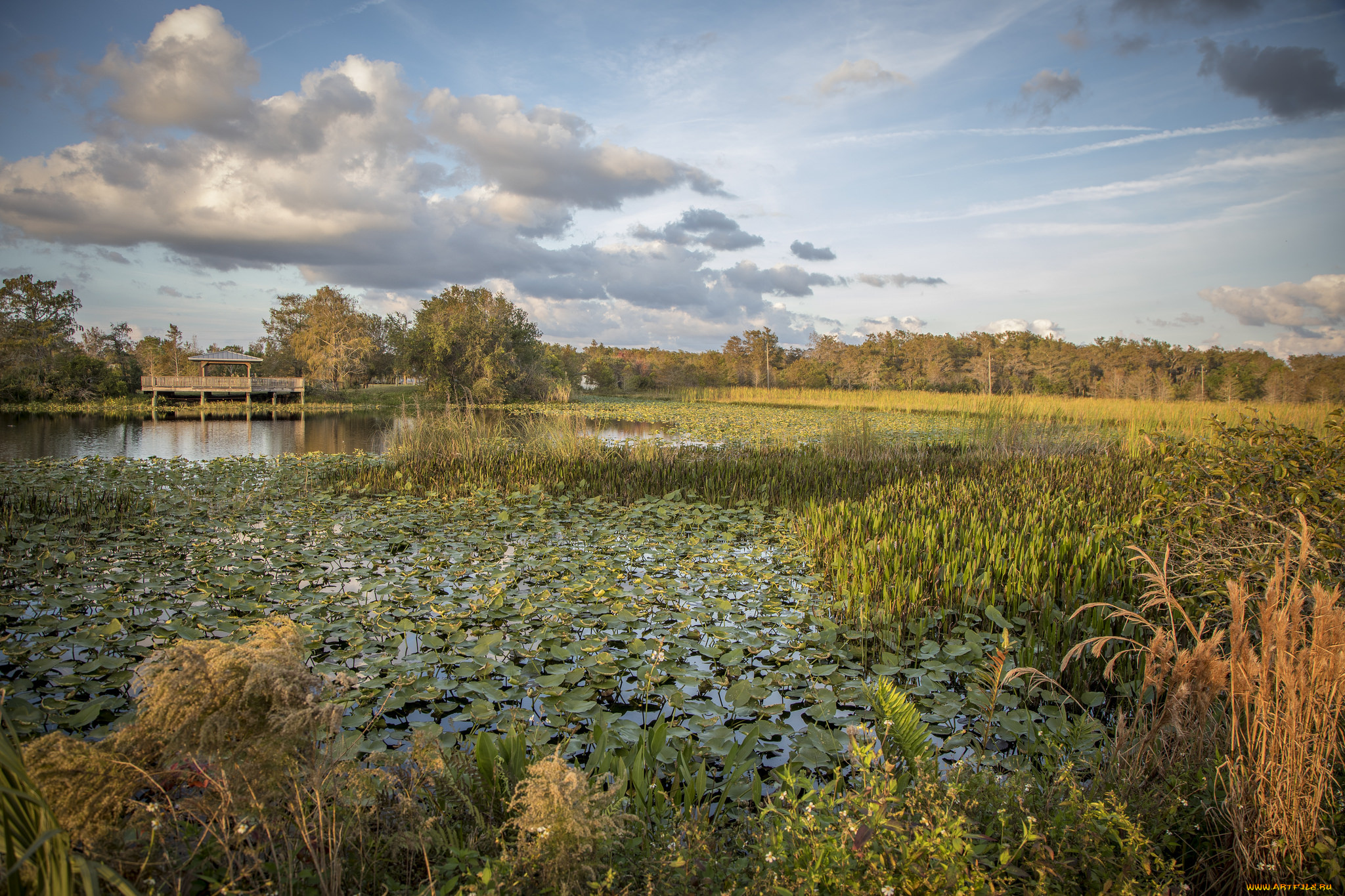 природа, реки, озера, простор