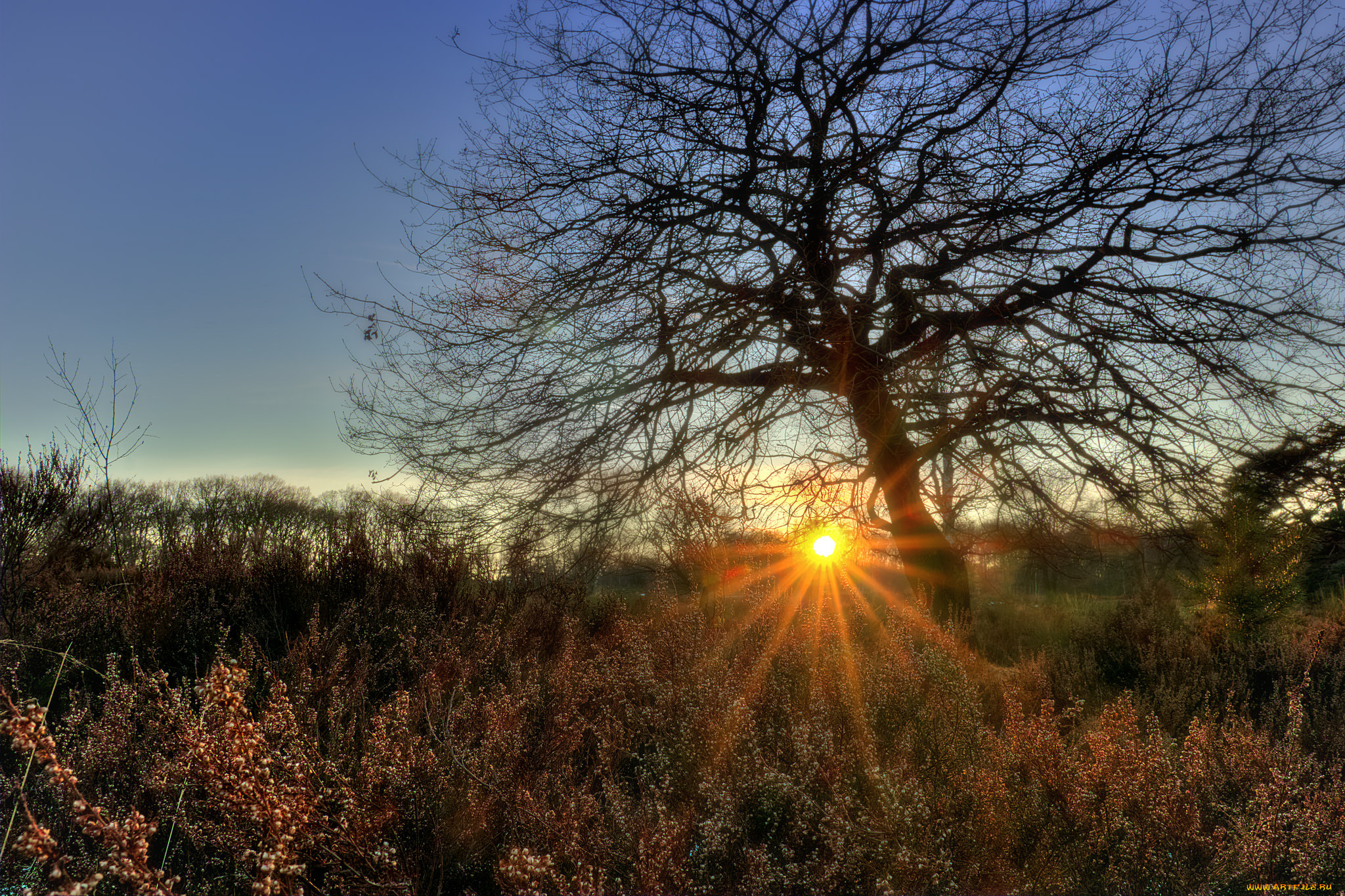 природа, восходы, закаты, простор