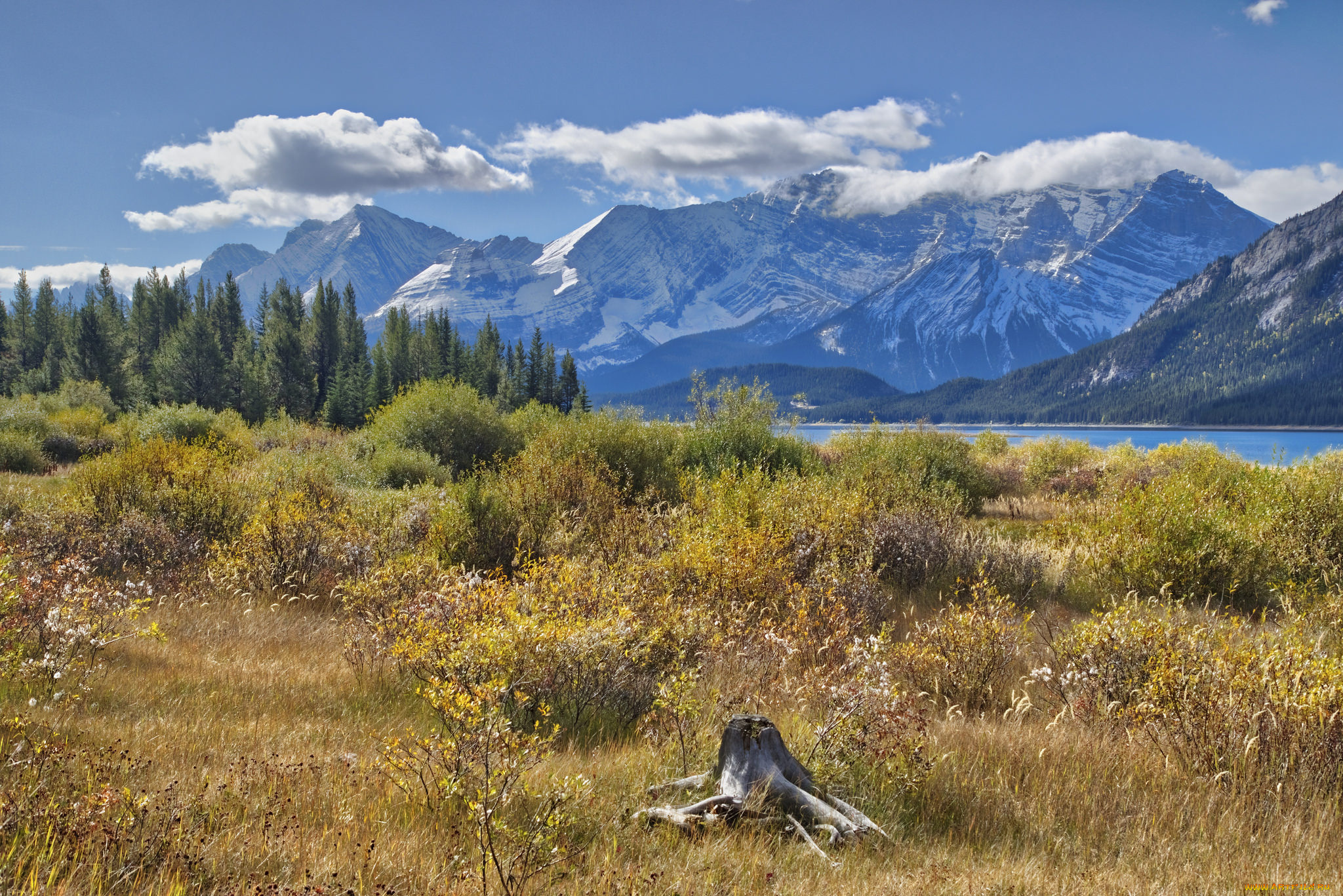 природа, горы, простор