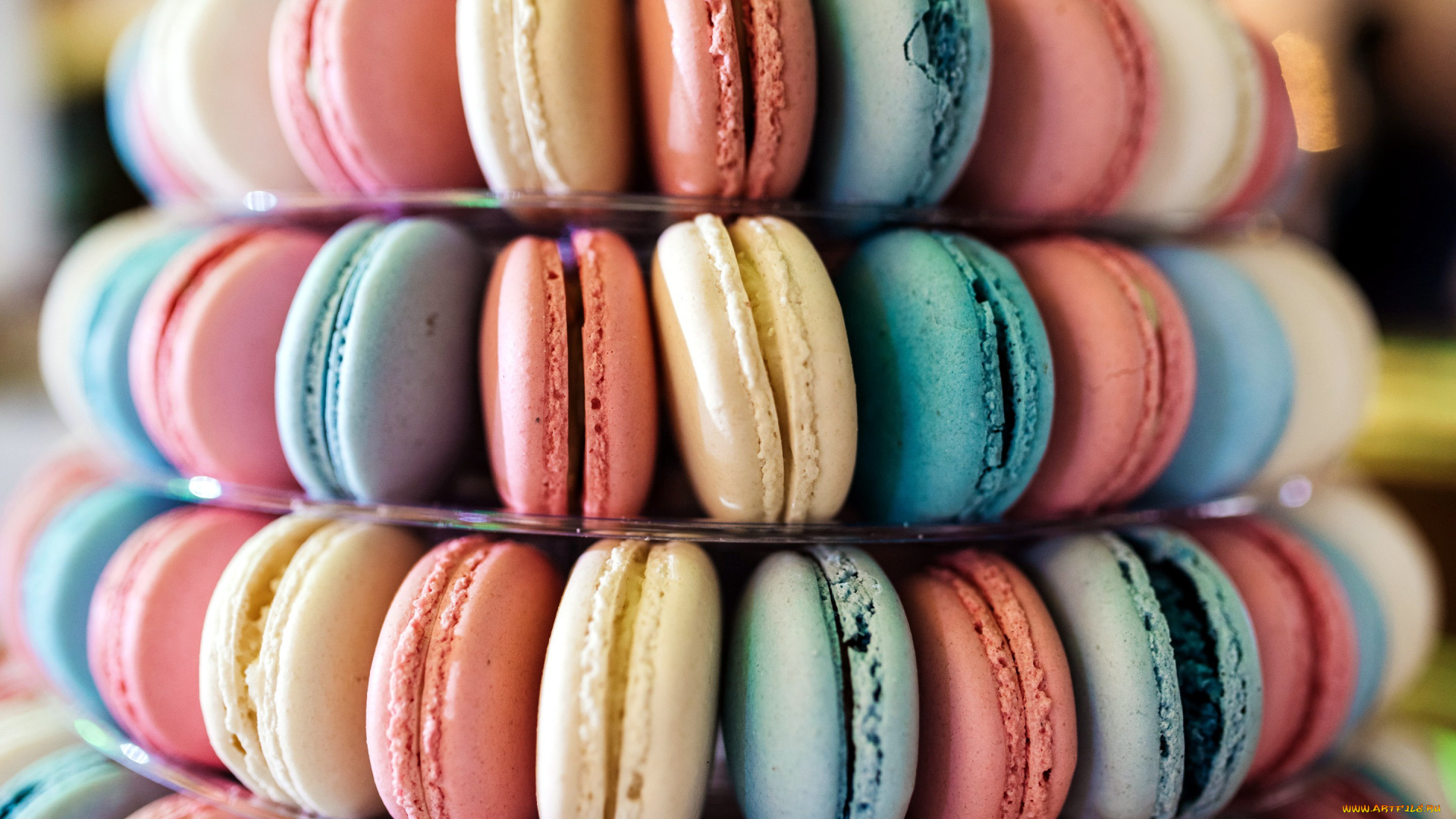 еда, макаруны, лакомство, печенье