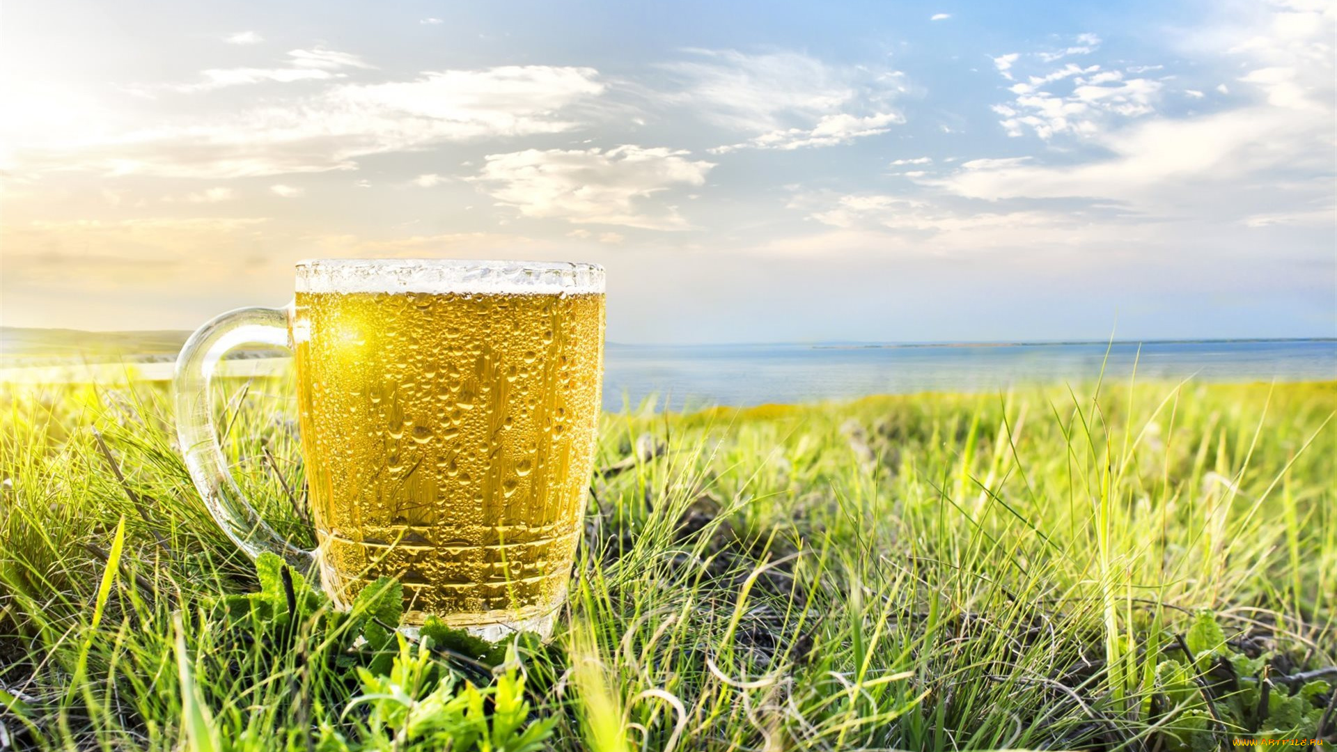 еда, напитки, , пиво, бокал, пиво, пена