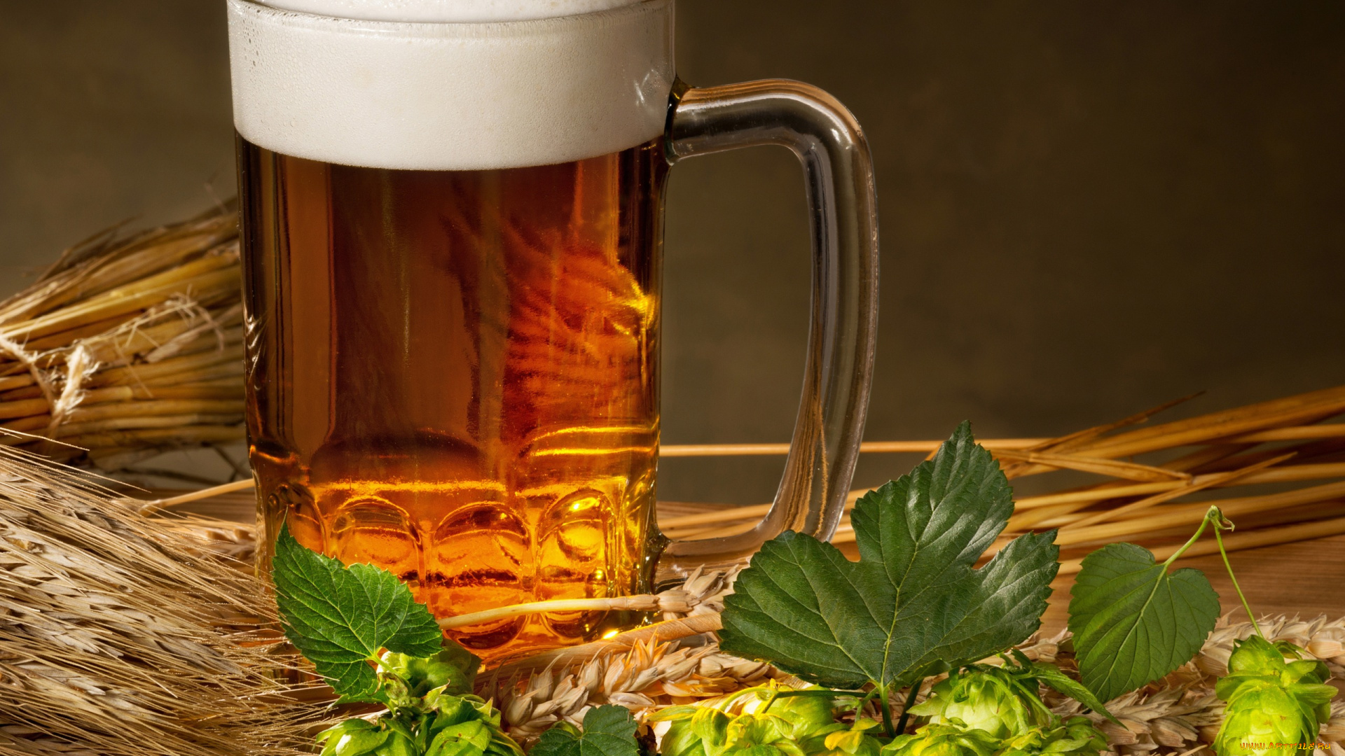 еда, напитки, , пиво, бокал, пиво, пена