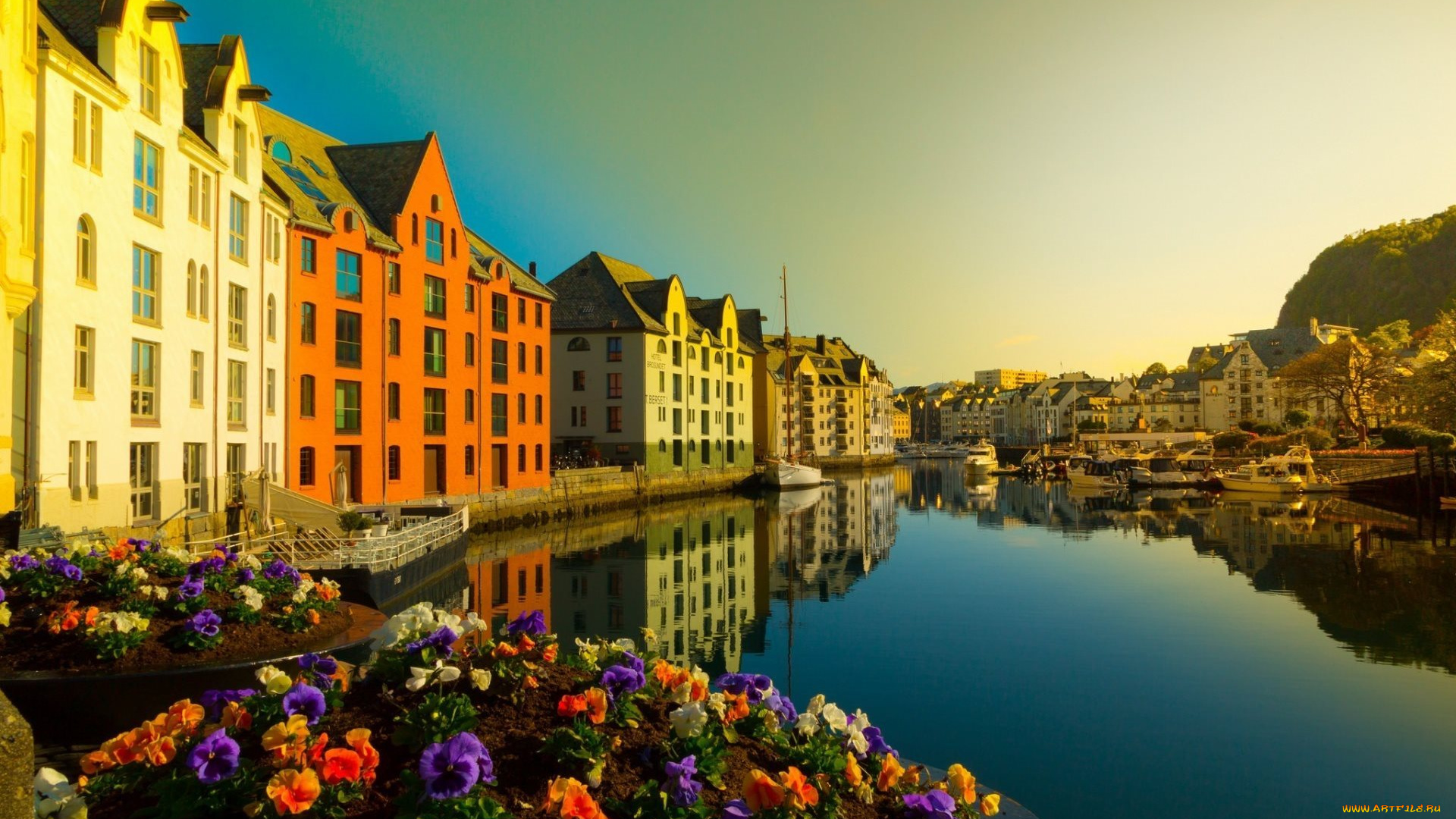 города, олесунн, , норвегия, цветы, канал, дома