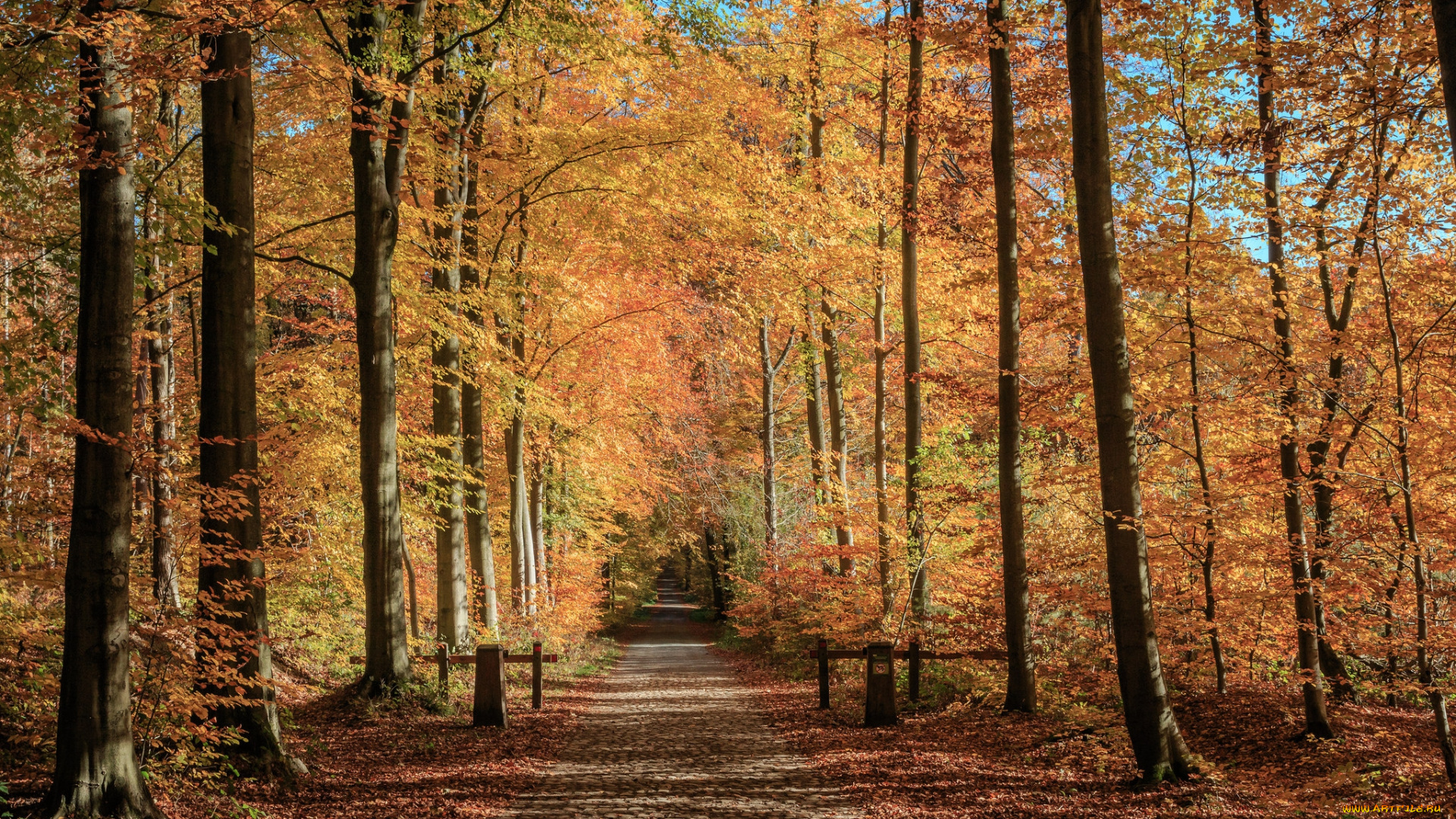 природа, дороги, простор