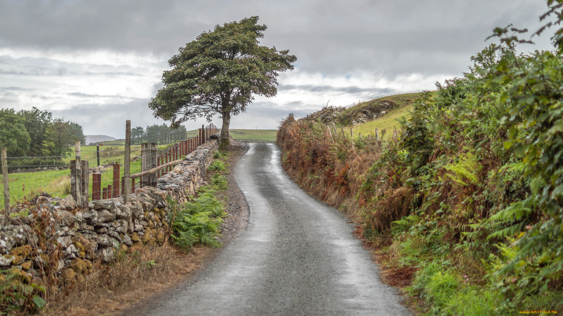 природа, дороги, простор