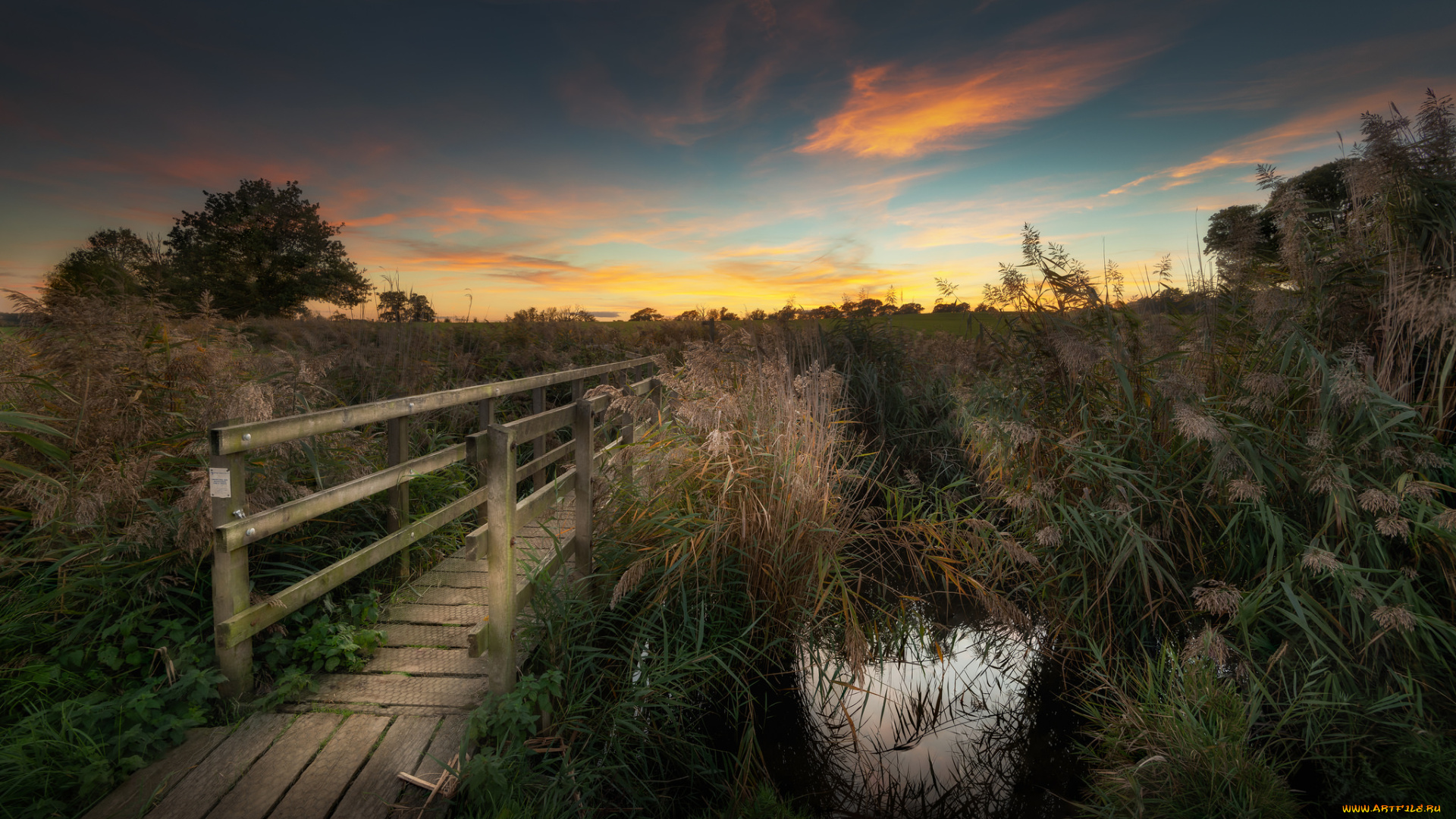 природа, дороги, простор