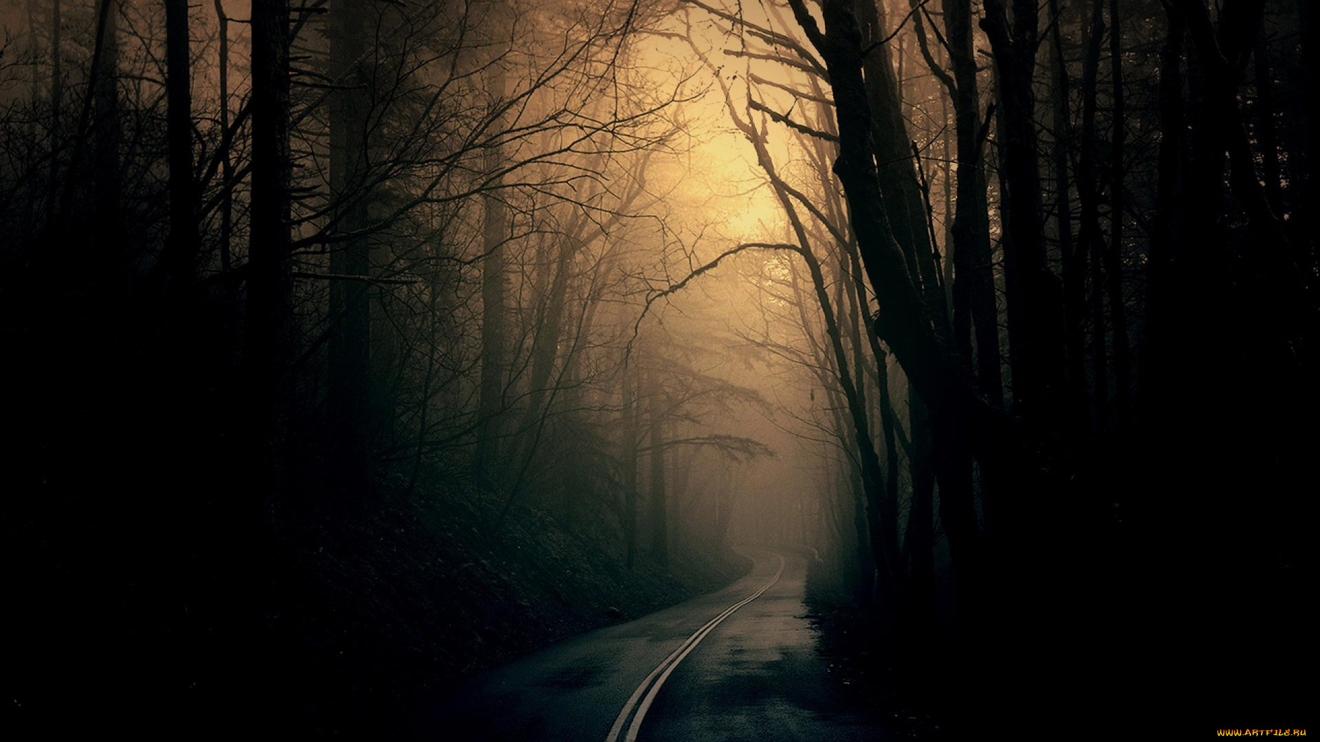 природа, дороги, тени, лес, дорога