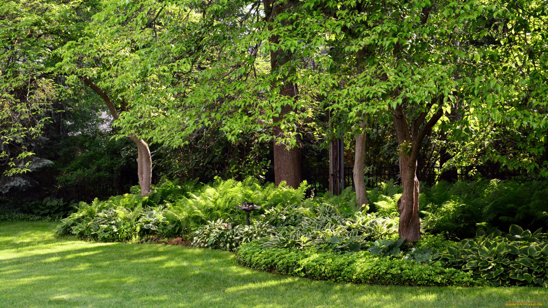 природа, парк, лужайка