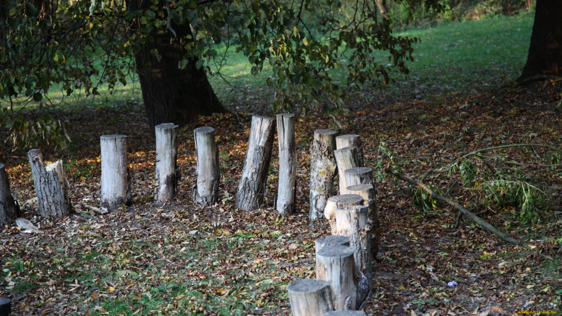 природа, парк, осень