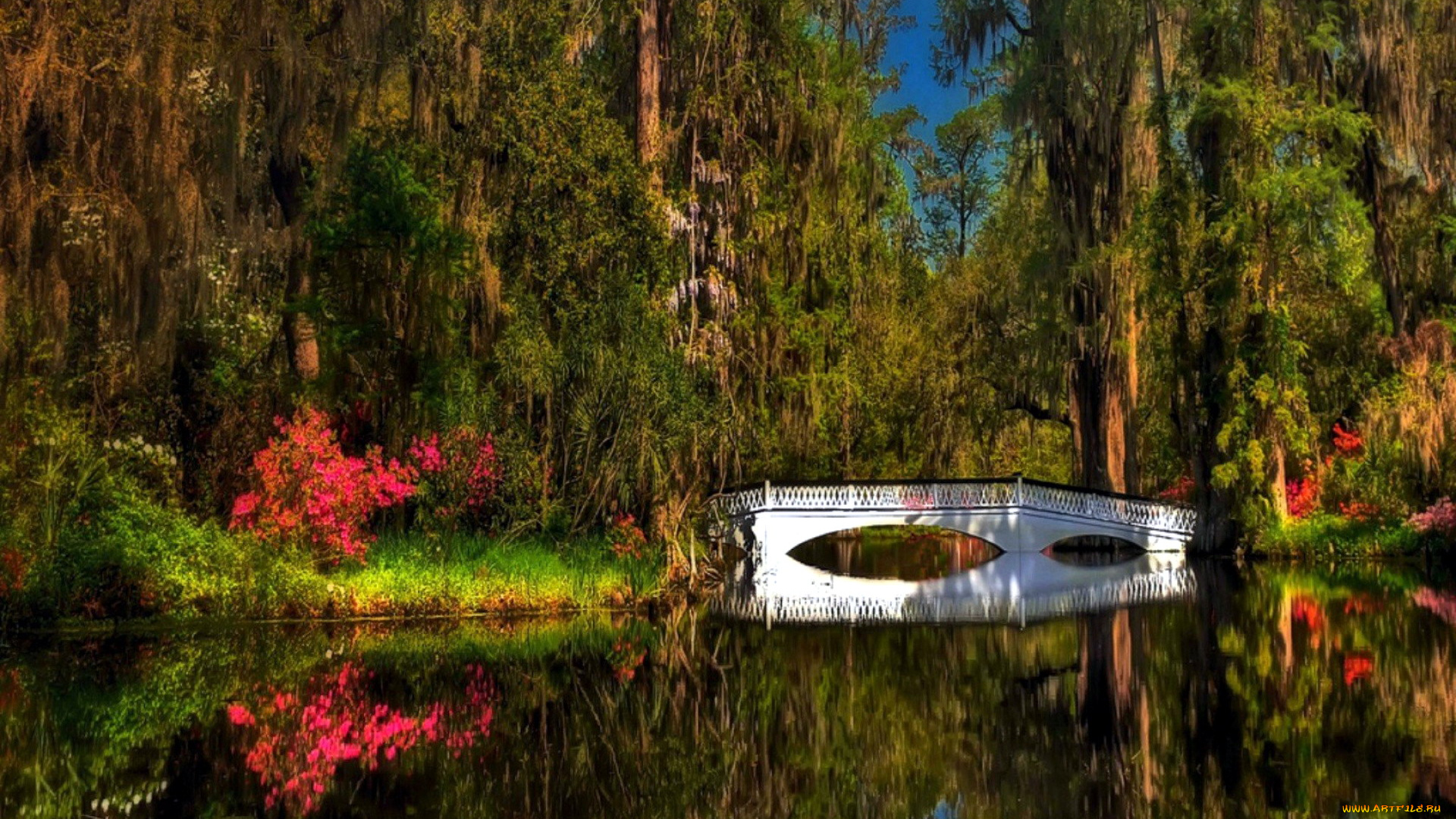 природа, парк, водоем, мостик