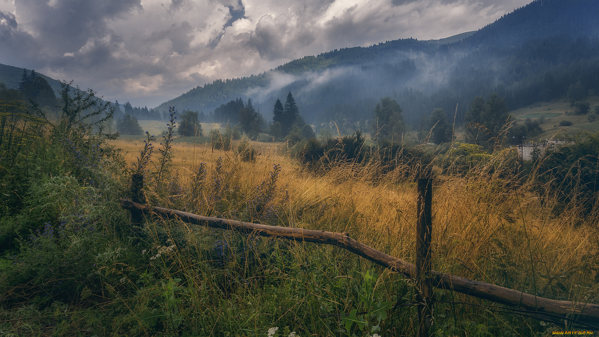 природа, пейзажи, простор