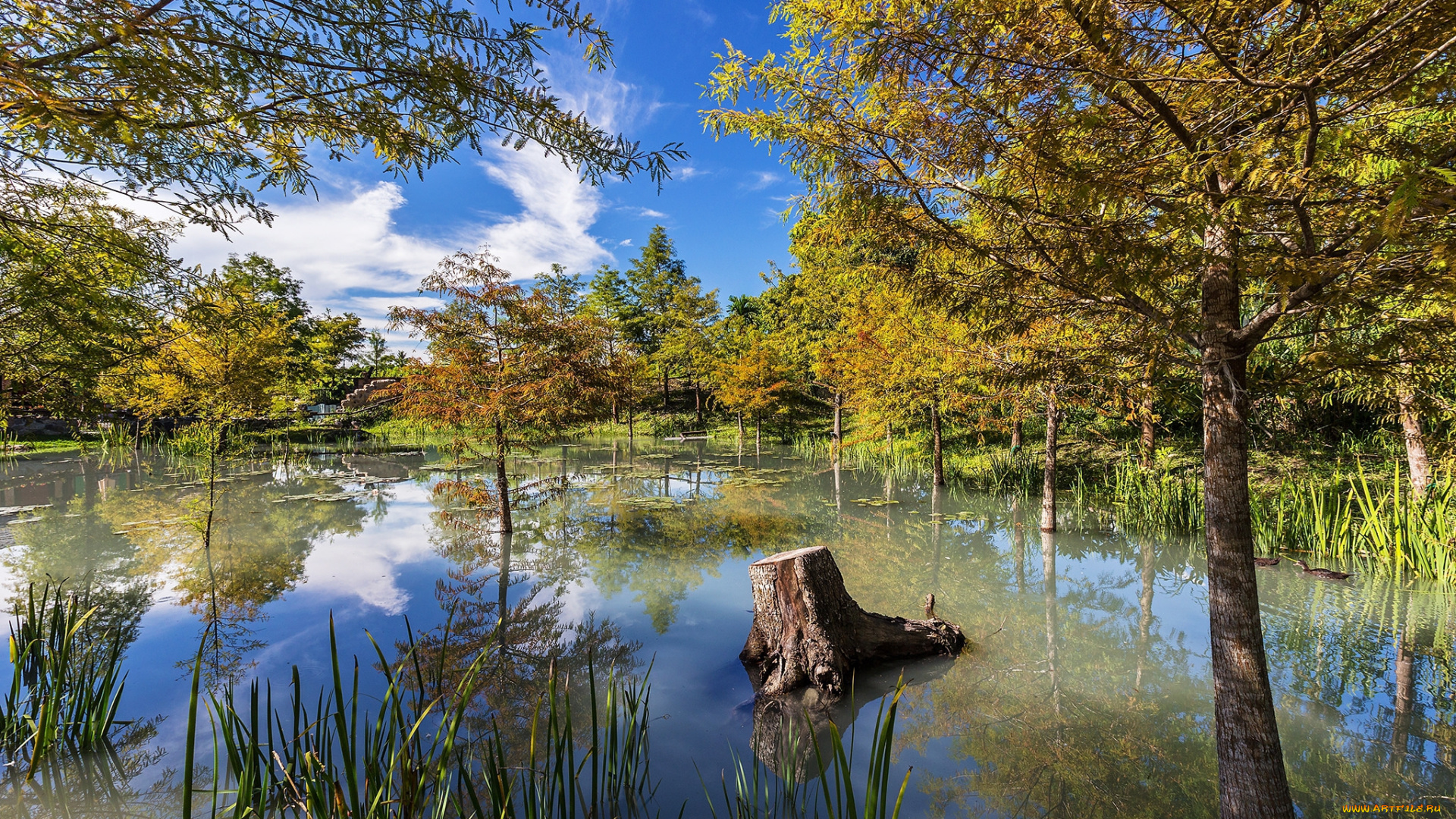 природа, реки, озера, простор