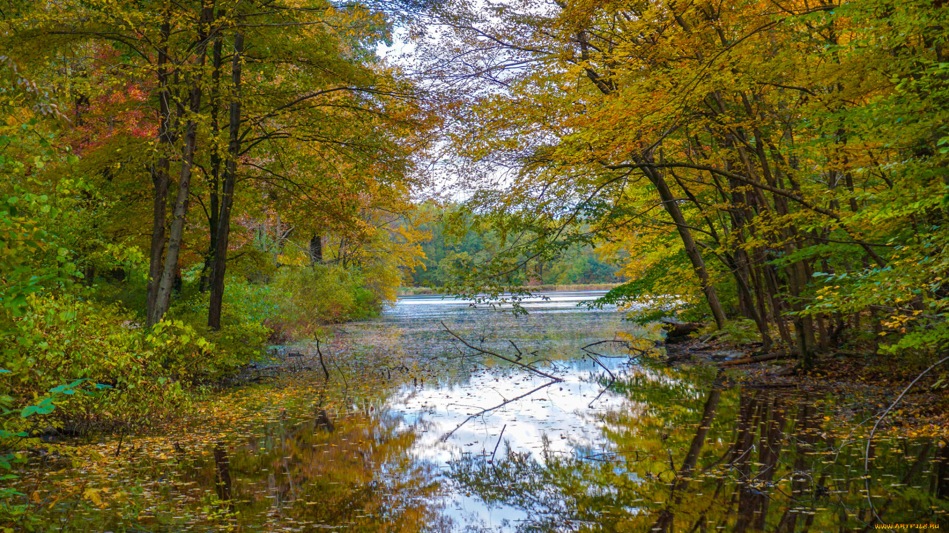 природа, реки, озера, простор