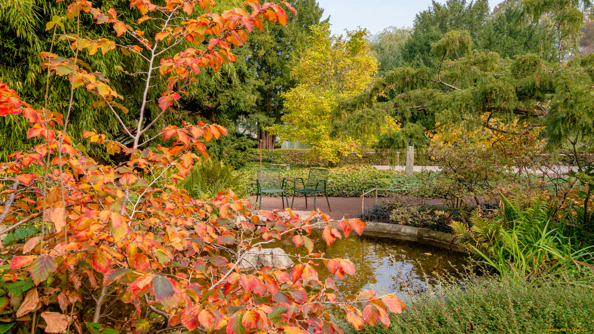 природа, реки, озера, простор