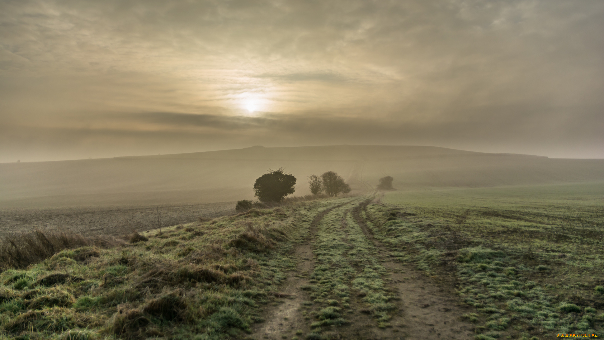 природа, восходы, закаты, простор
