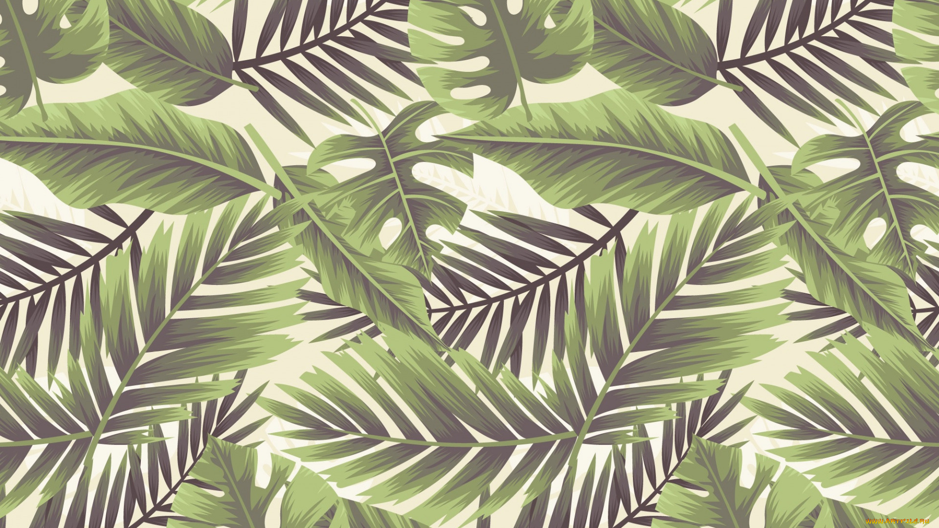 векторная, графика, природа, , nature, листья, белый, фон, текстура