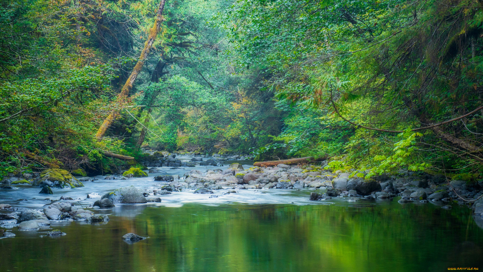 природа, реки, озера, простор