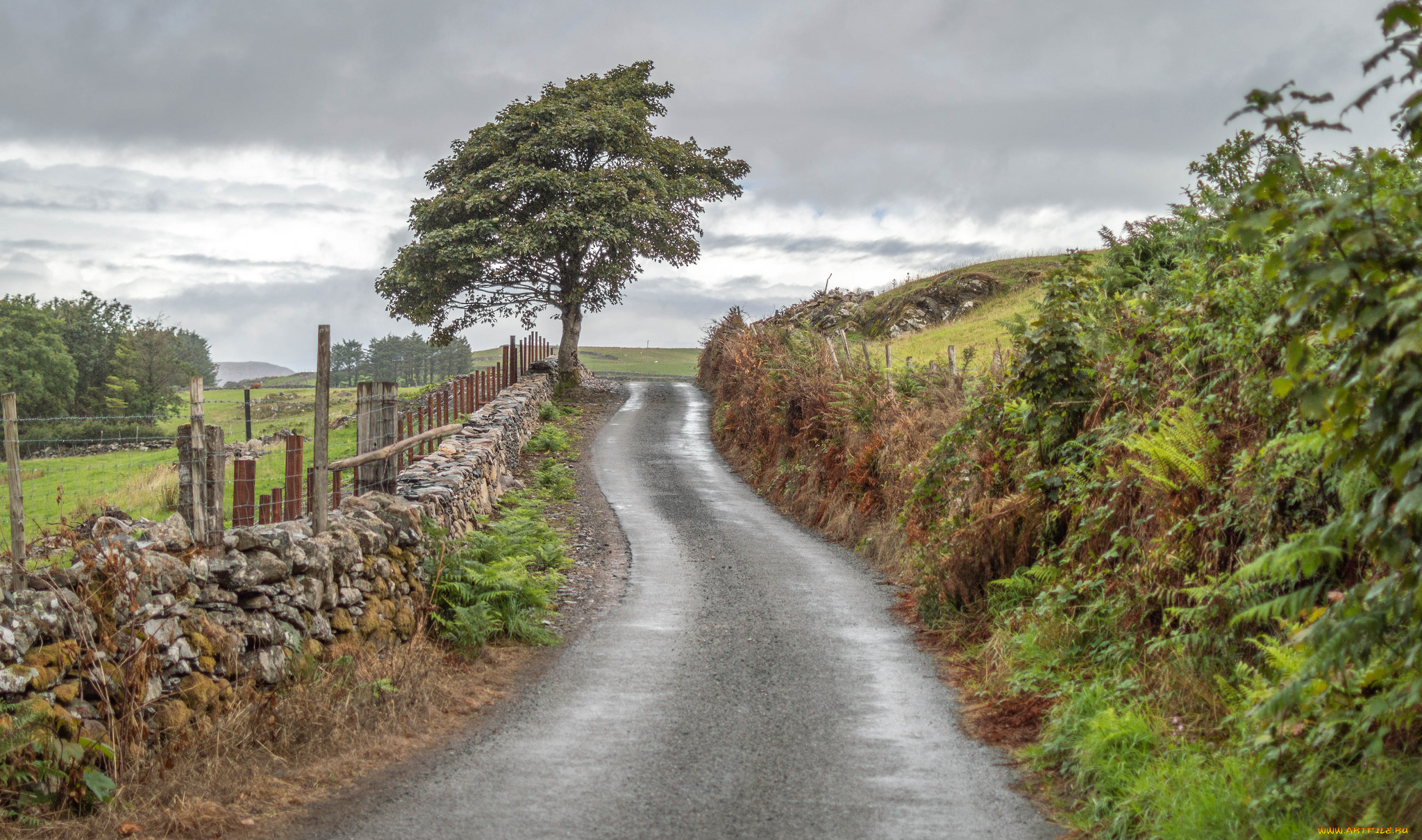 природа, дороги, простор