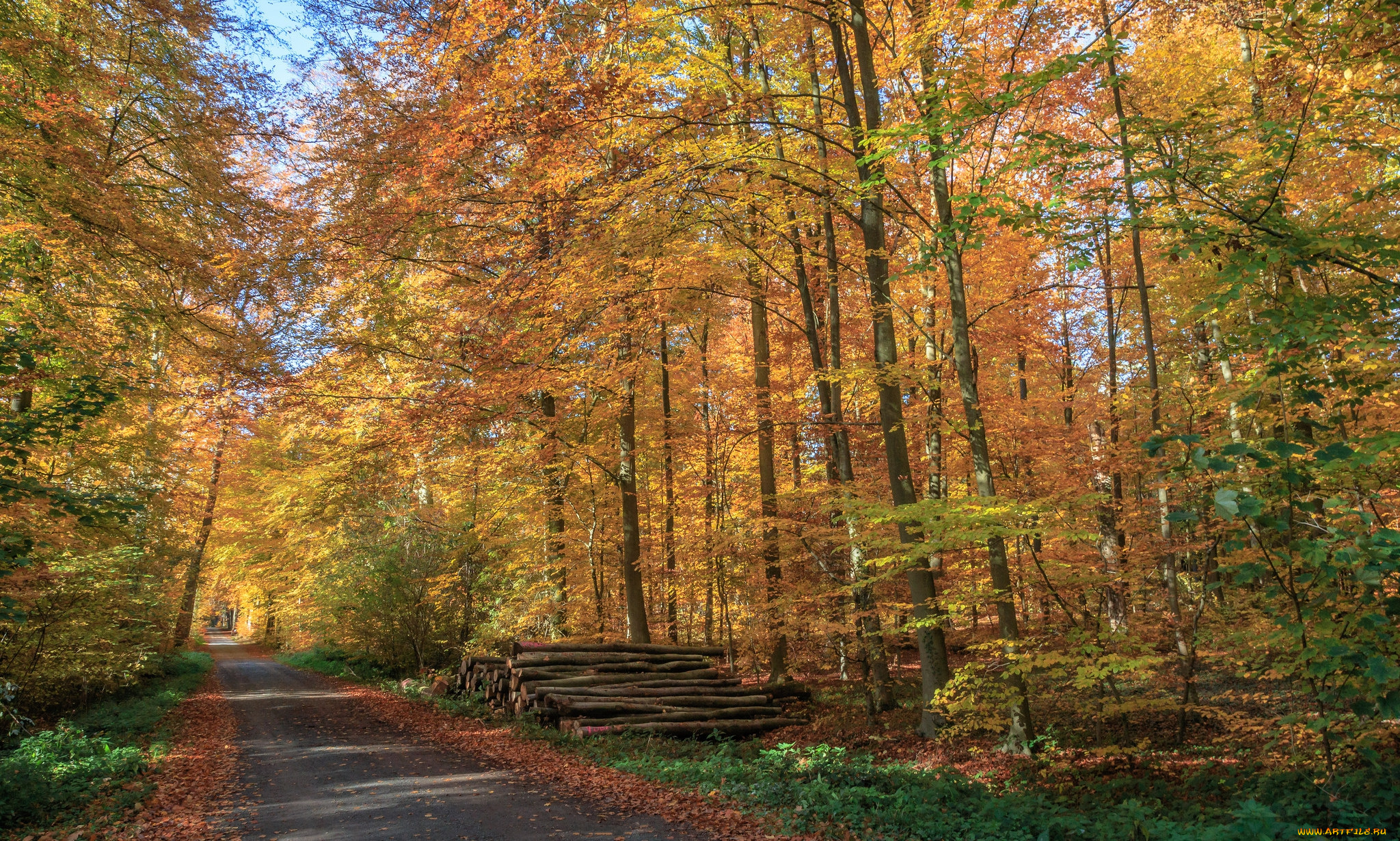 природа, дороги, простор